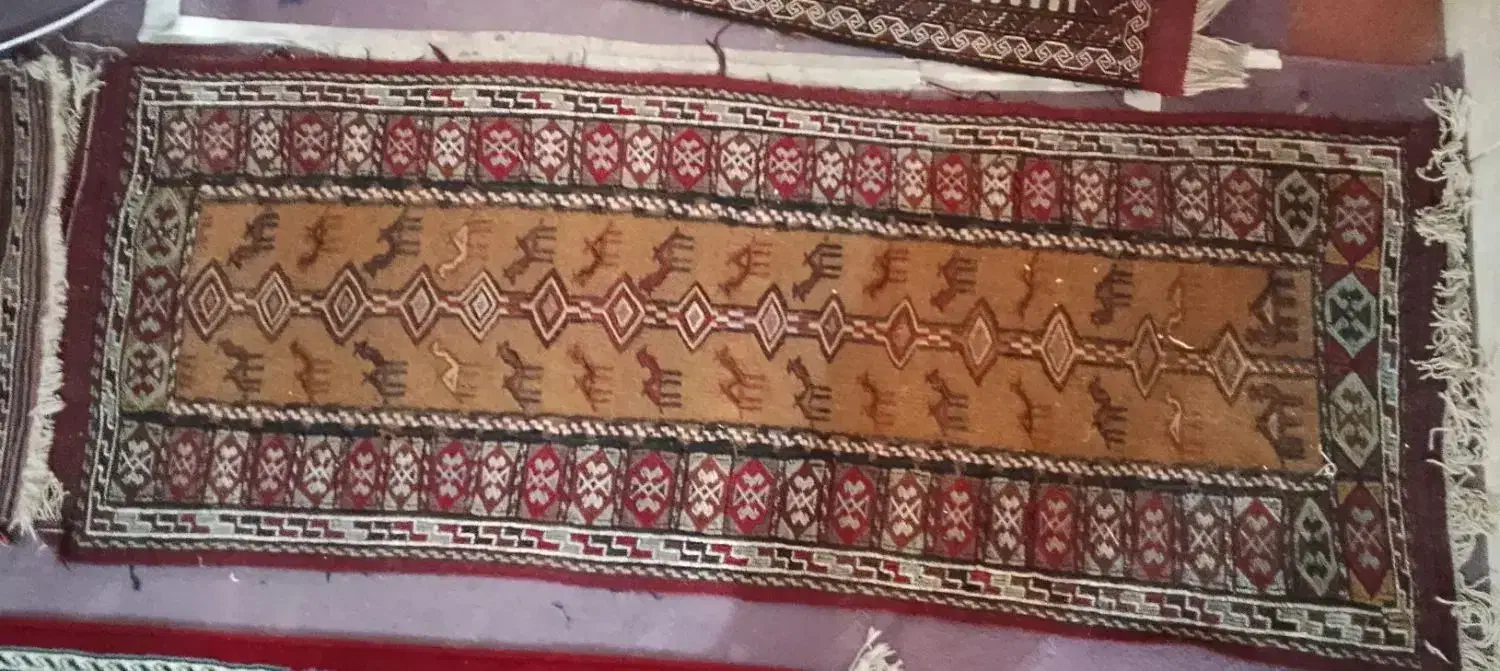 گلیم کردی|گلیم، جاجیم، گبه|شیروان (خراسان), |دیوار