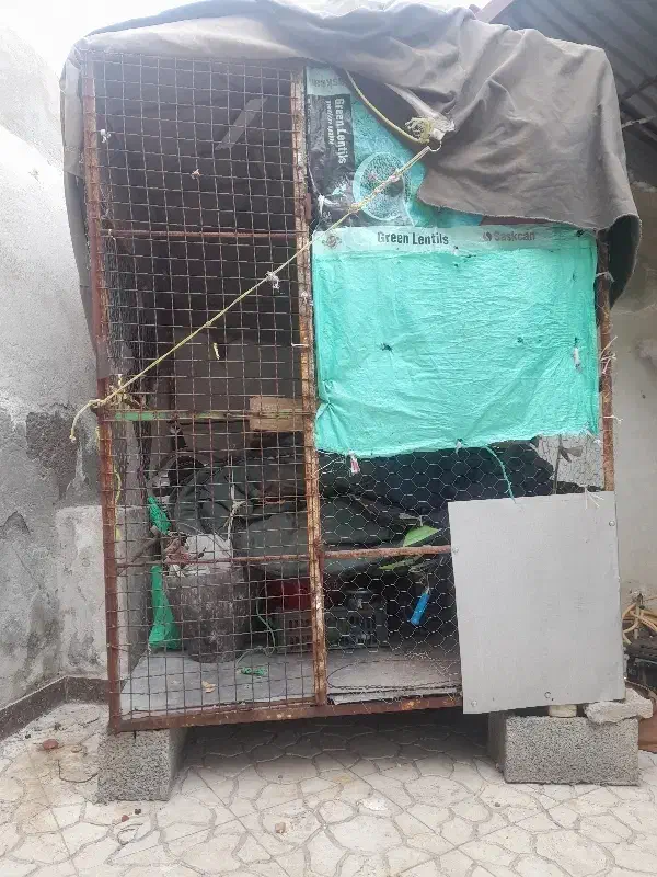 قفسه بزرگ|لوازم جانبی حیوانات|مشگین شهر, |دیوار