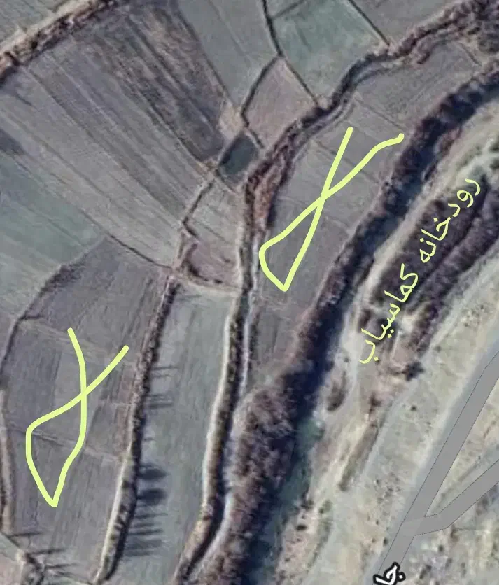 زمین اماده ، برای کاشت برنج روستای عامله|اجارهٔ دفتر صنعتی، کشاورزی، تجاری|صحنه, |دیوار