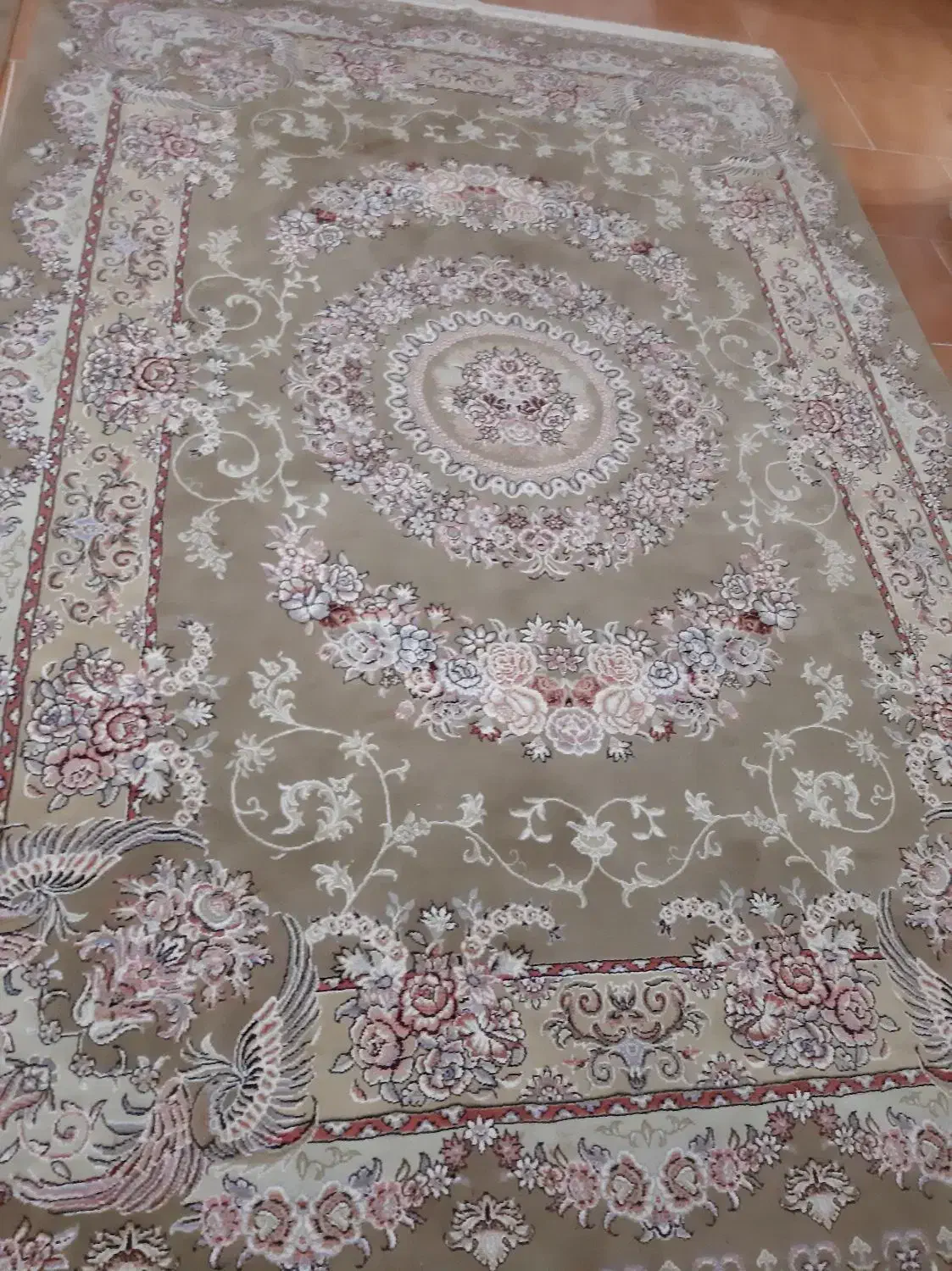 فرش ۶متری|فرش|لاهیجان, کوی خزر|دیوار