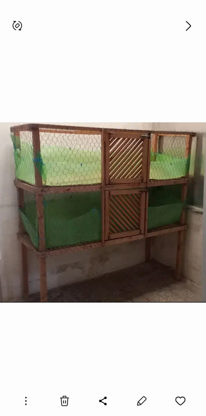 قفس دوطبقه|لوازم جانبی حیوانات|ساری, |دیوار