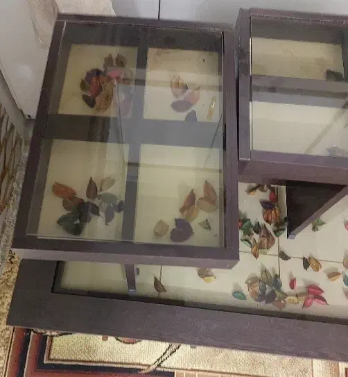 میز جلومبلی|مبلمان خانگی و میز عسلی|مشهد, کوشش|دیوار