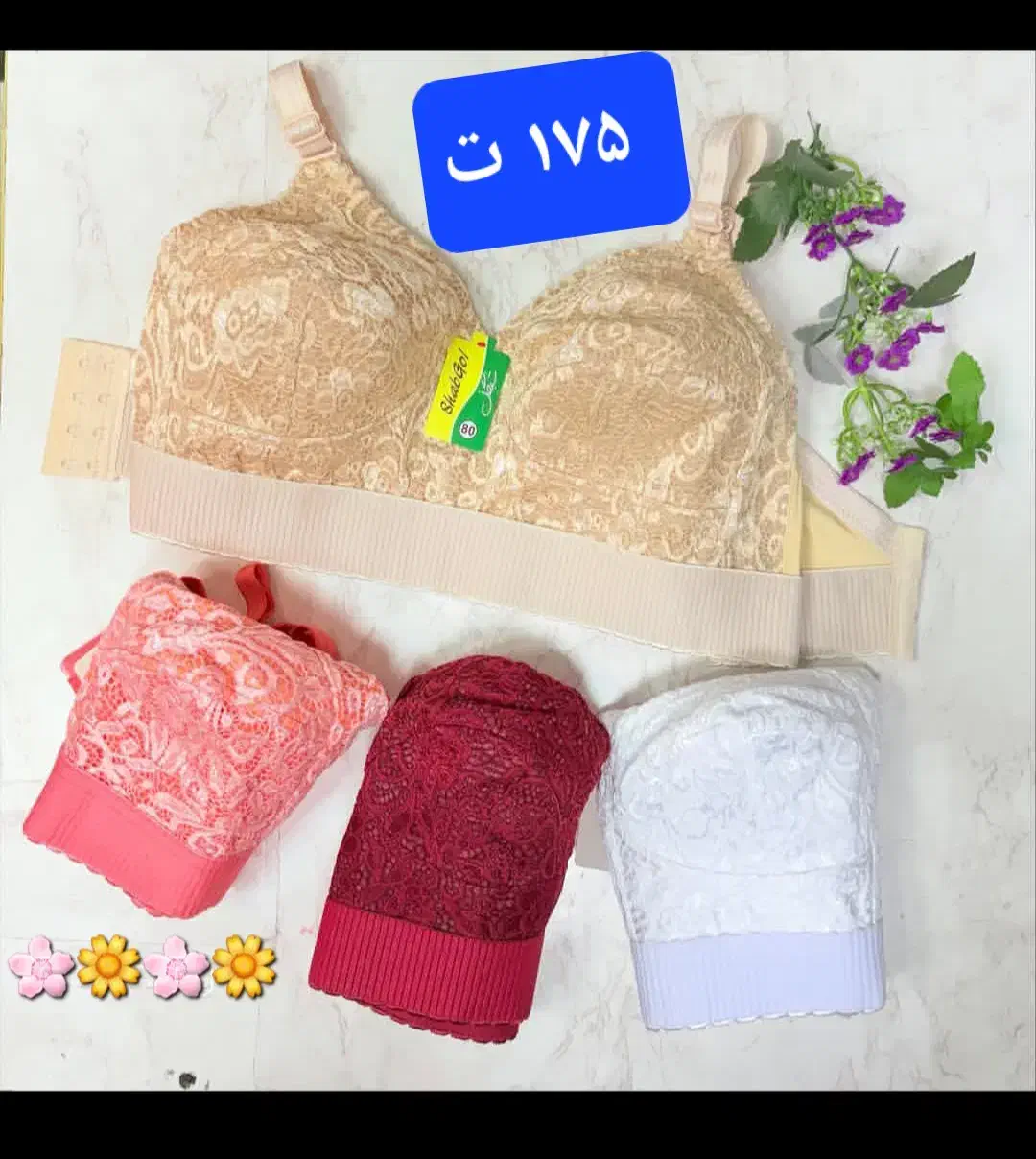 لباس زیر زنانه|لباس|بندر کنگان, |دیوار