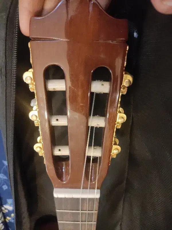 گیتار یاماها سی۸۰ c80|گیتار، بیس، امپلیفایر|سرخرود, |دیوار