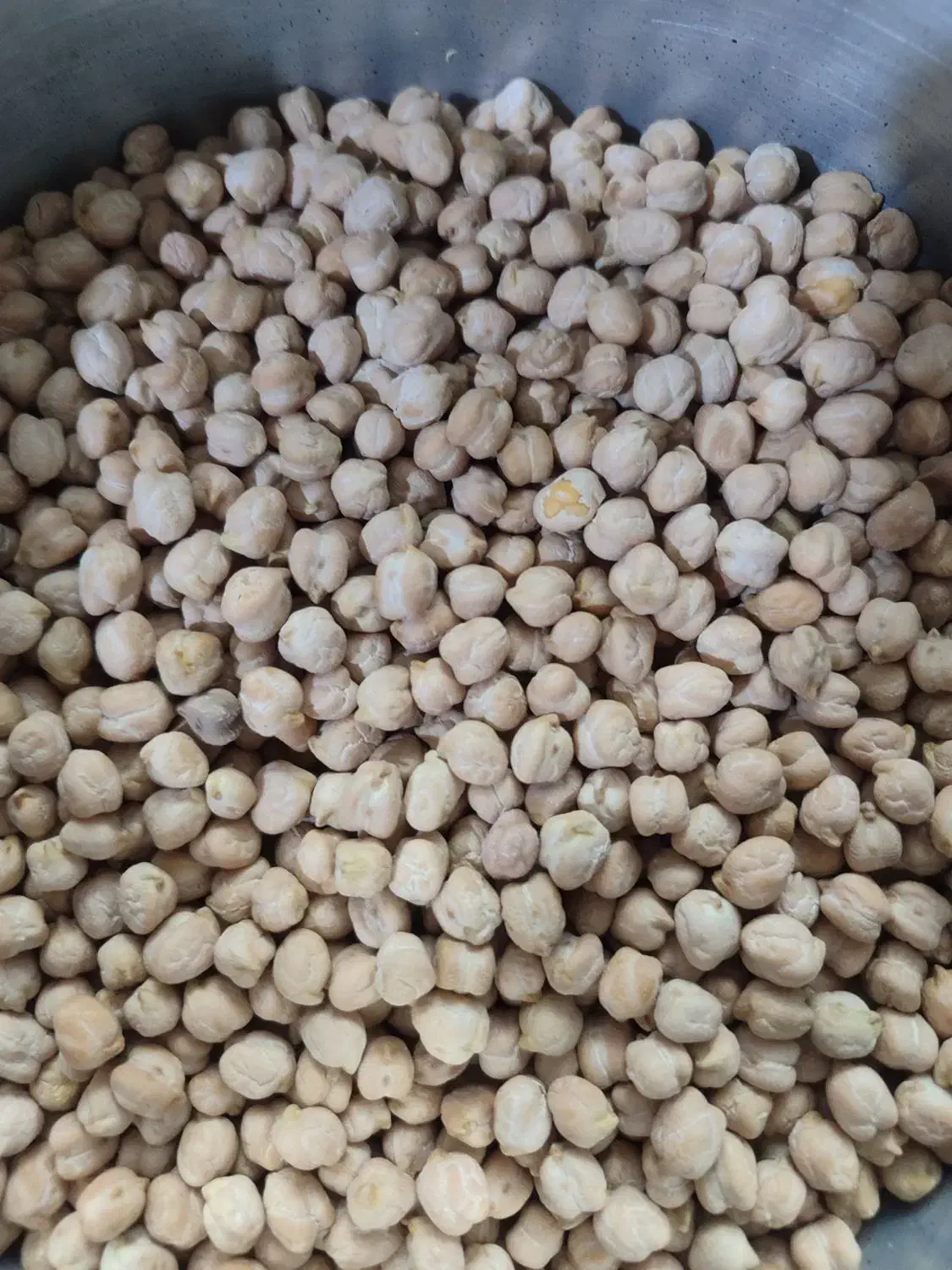 فروش حبوبات محلی نخود لوبیا کشت امسال|خوردنی و آشامیدنی|اسلامشهر, شهرک سعیدیه|دیوار