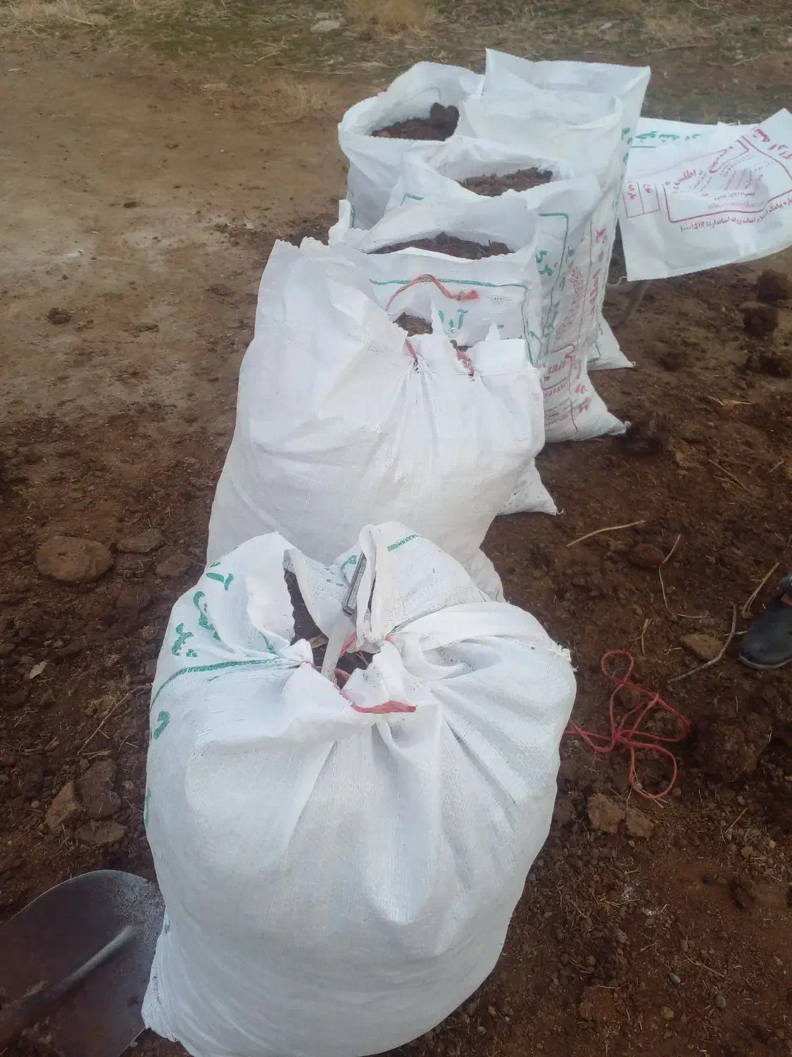 کود گوسفند گاو مرغ کبوتر گونی شده|خدمات باغبانی و درختکاری|اراک, |دیوار