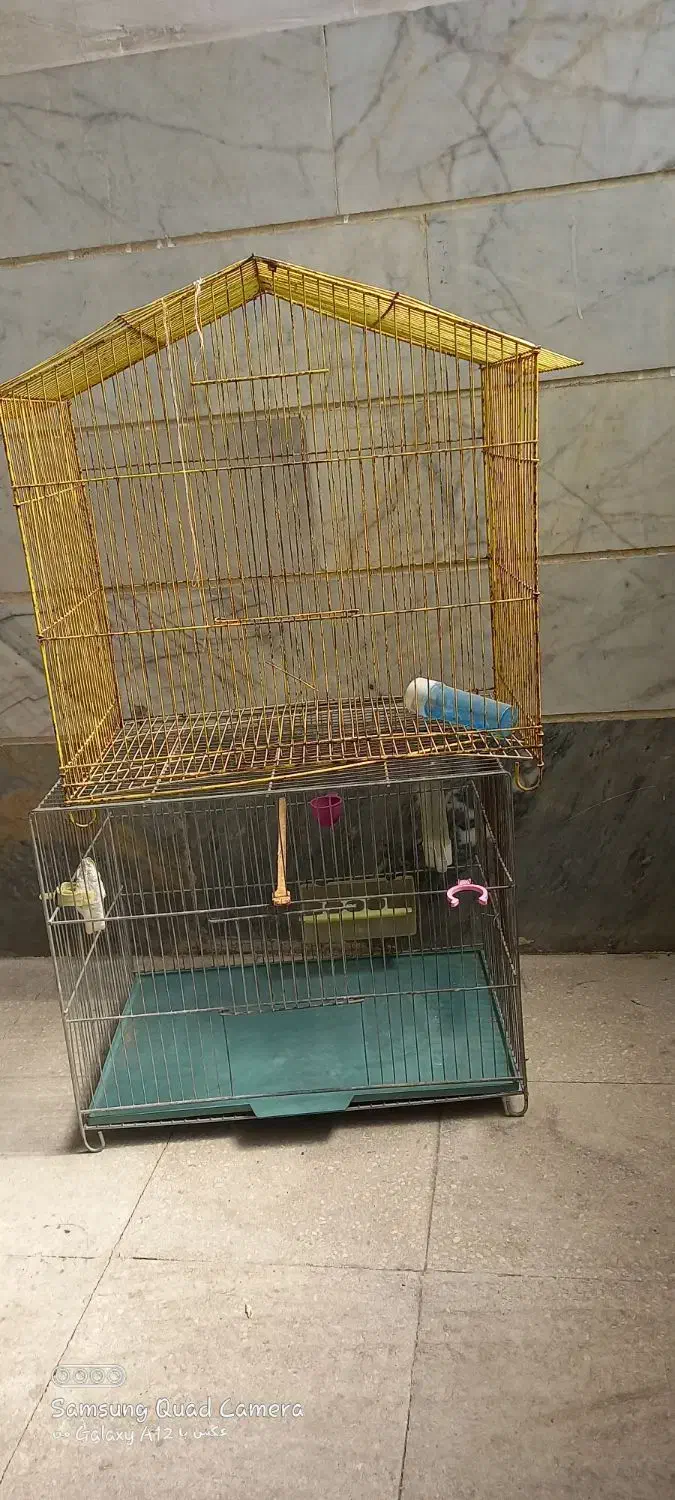 قفس بزرگ و کوچک|لوازم جانبی حیوانات|قزوین, |دیوار
