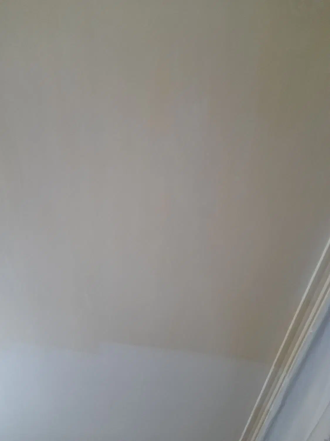 نقاشی ساختمان پلاستیک روغنی|خدمات پیشه و مهارت|کنگاور, |دیوار