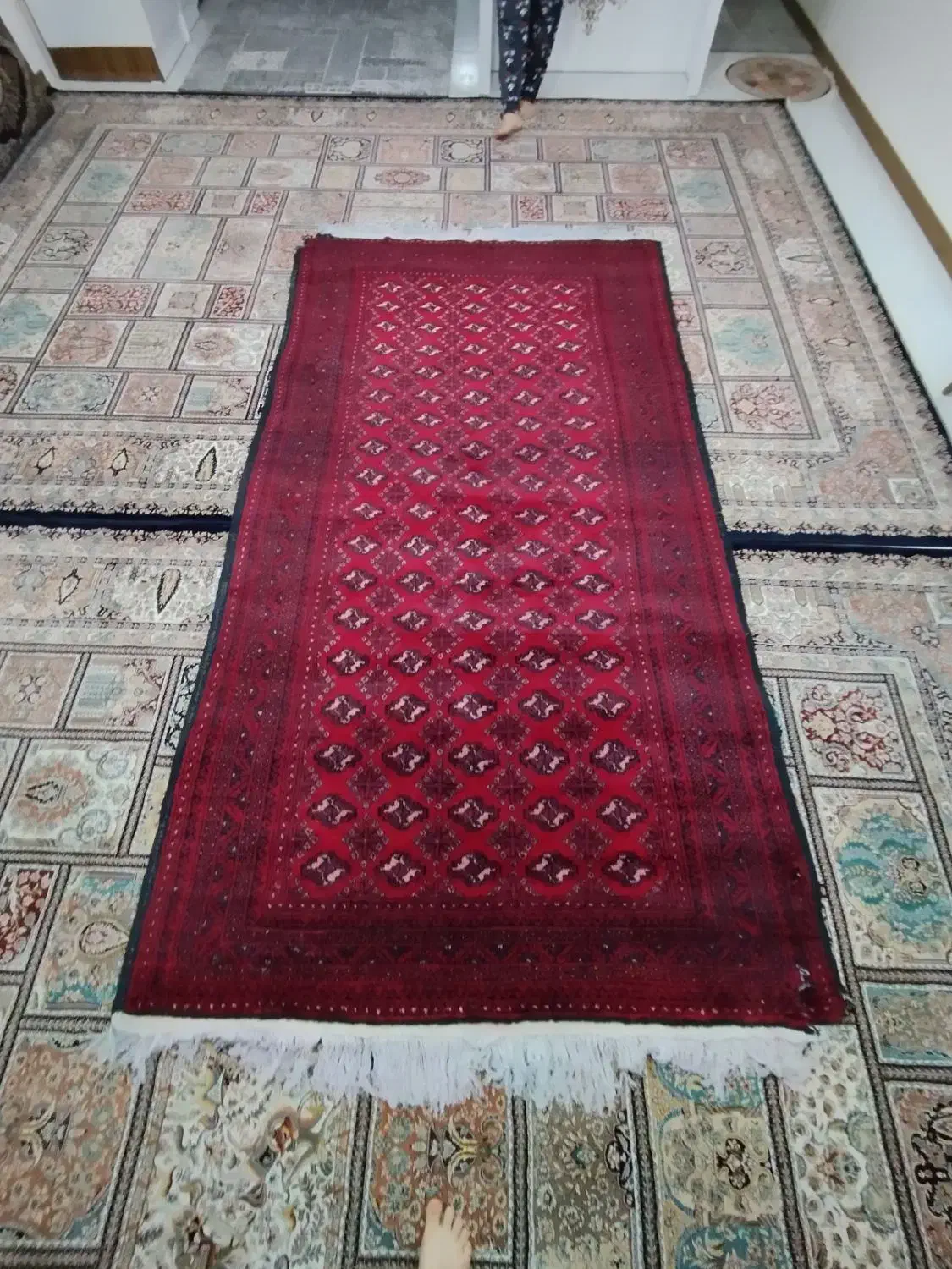 فرش ۶ متری دست بافت کار کرده|فرش|مشهد, میان ولایت|دیوار