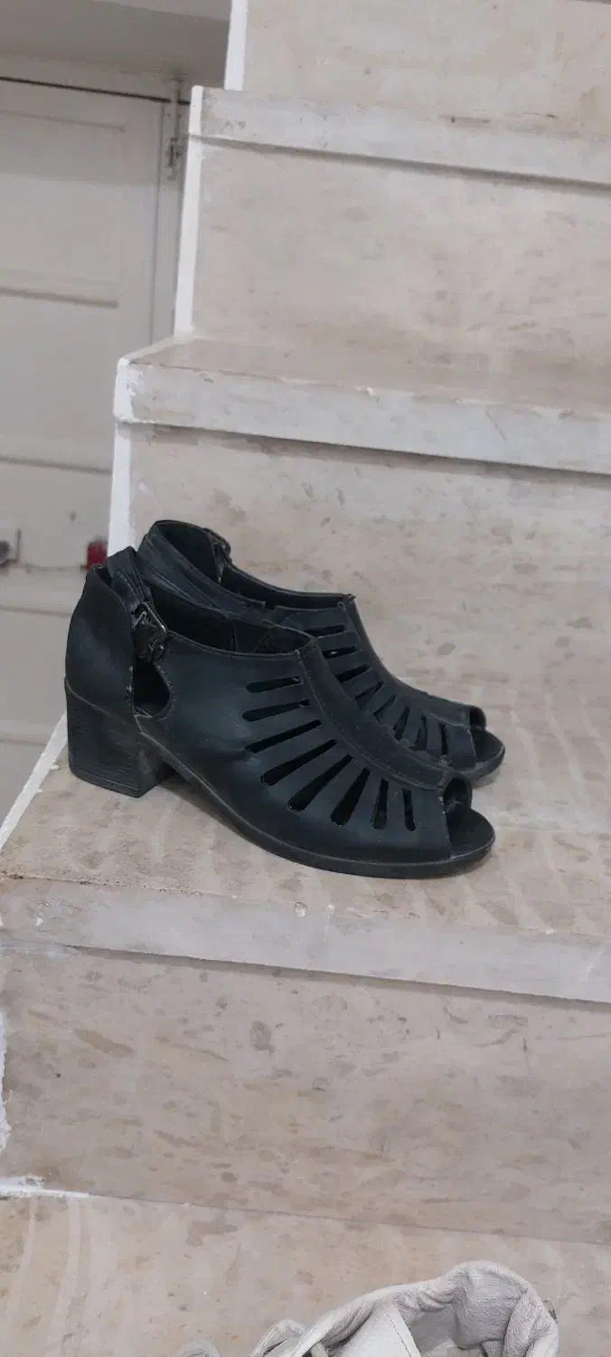 صندل|کیف، کفش، کمربند|خرم‌آباد, |دیوار