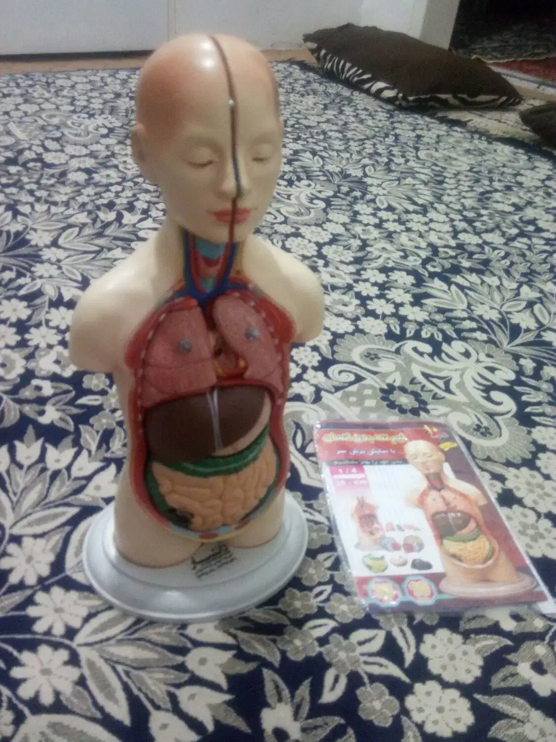 مولاژ|اسباببازی|تهران, شهید فکوری|دیوار