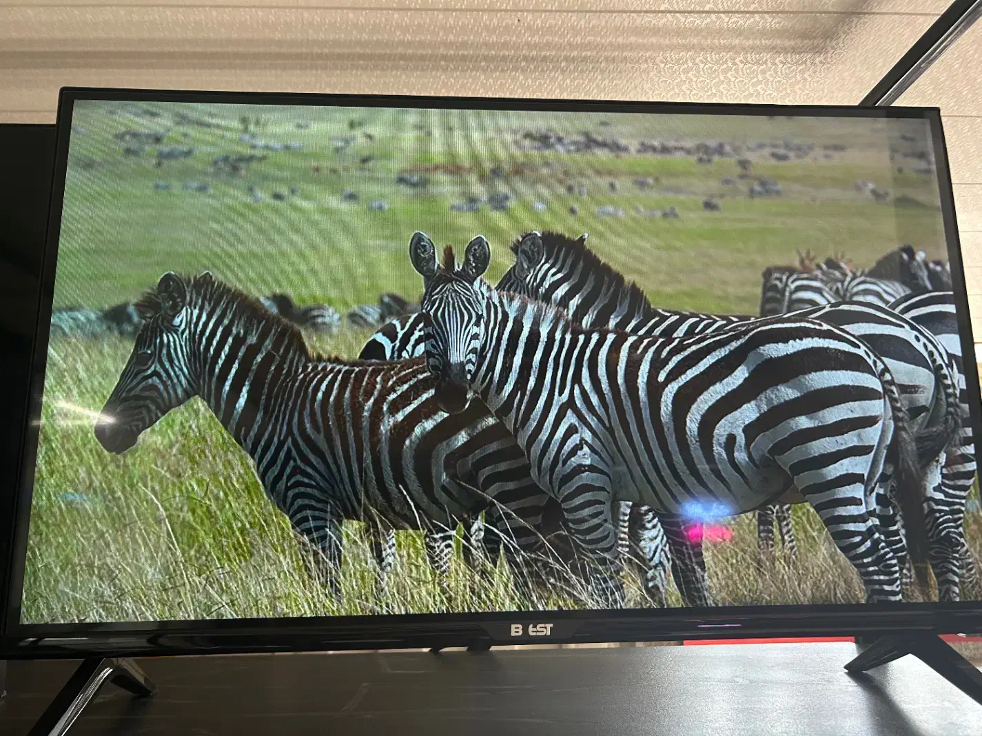 تلوزیون با ابعاد ۲۶ تا ۴۹ مخصوص (دوربین و باغ)|تلویزیون و پروژکتور|اصفهان, خلجا|دیوار