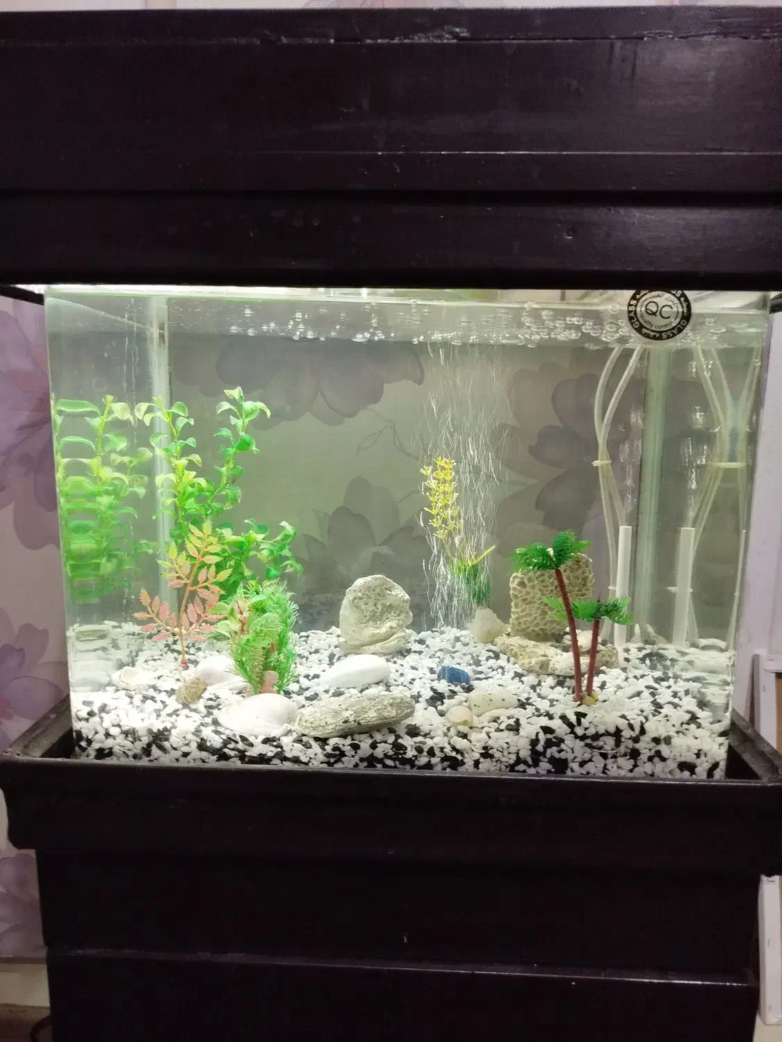 آکواریوم شیشه خم|ماهی|تهران, تهرانسر شمالی|دیوار