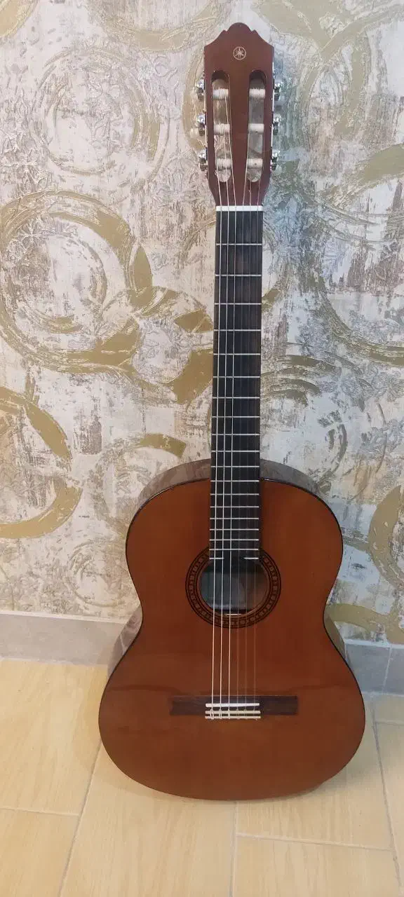 گیتار|گیتار، بیس، امپلیفایر|زاهدان, |دیوار