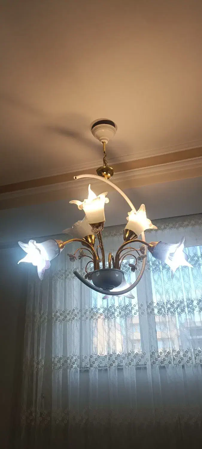 لوستر6شاخه گل|لوستر و چراغ آویز|تبریز, |دیوار