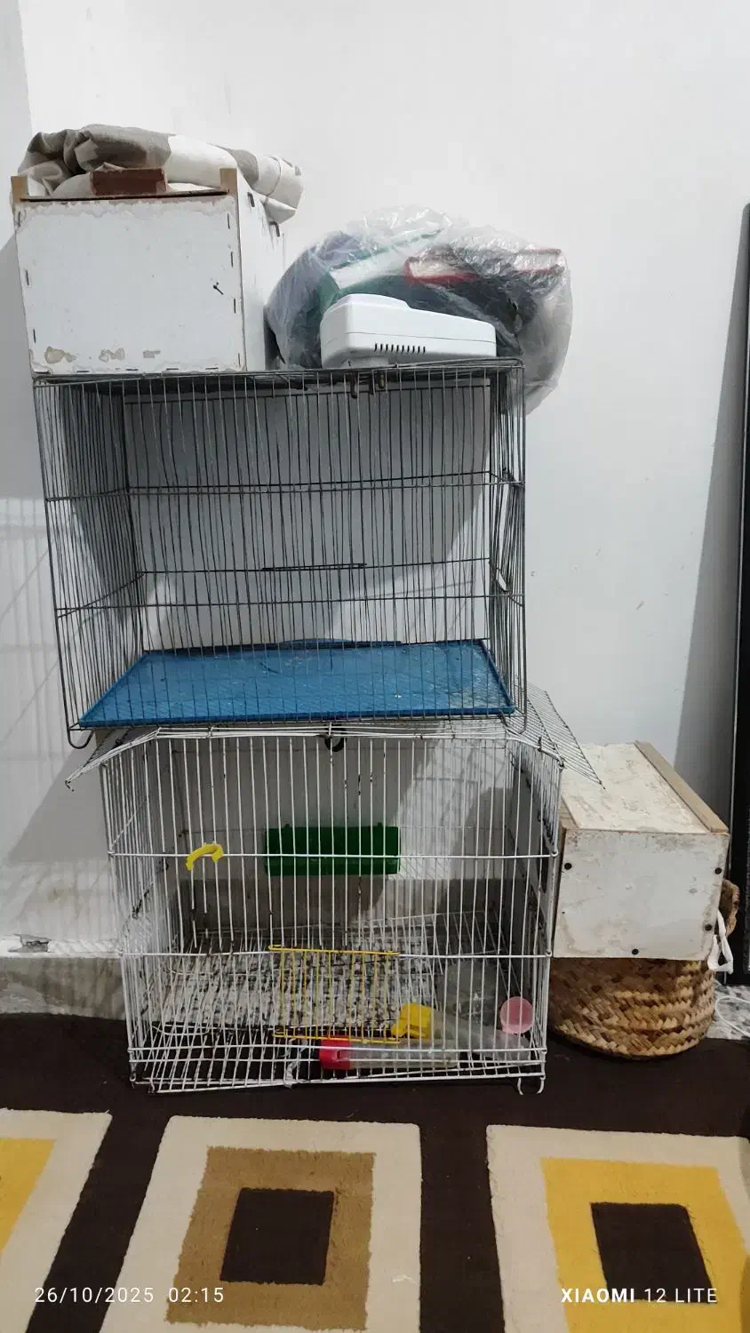 قفس.جفت کن کفتر و عروس هلندی|لوازم جانبی حیوانات|امیدیه, |دیوار