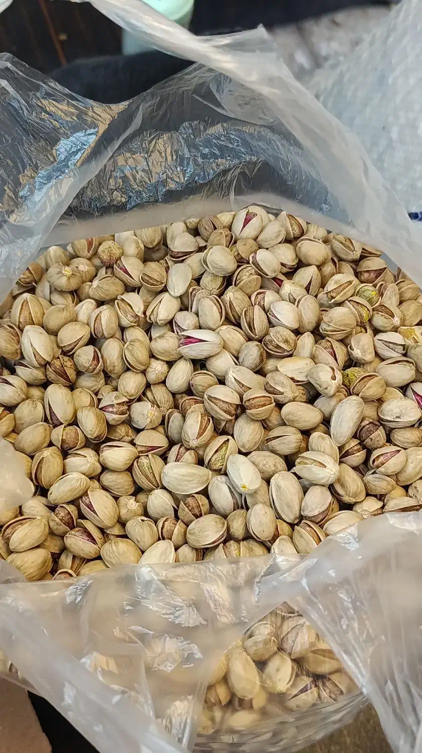 پسته اکبری و خرما زرد عسلی|خوردنی و آشامیدنی|تهران, مدائن|دیوار