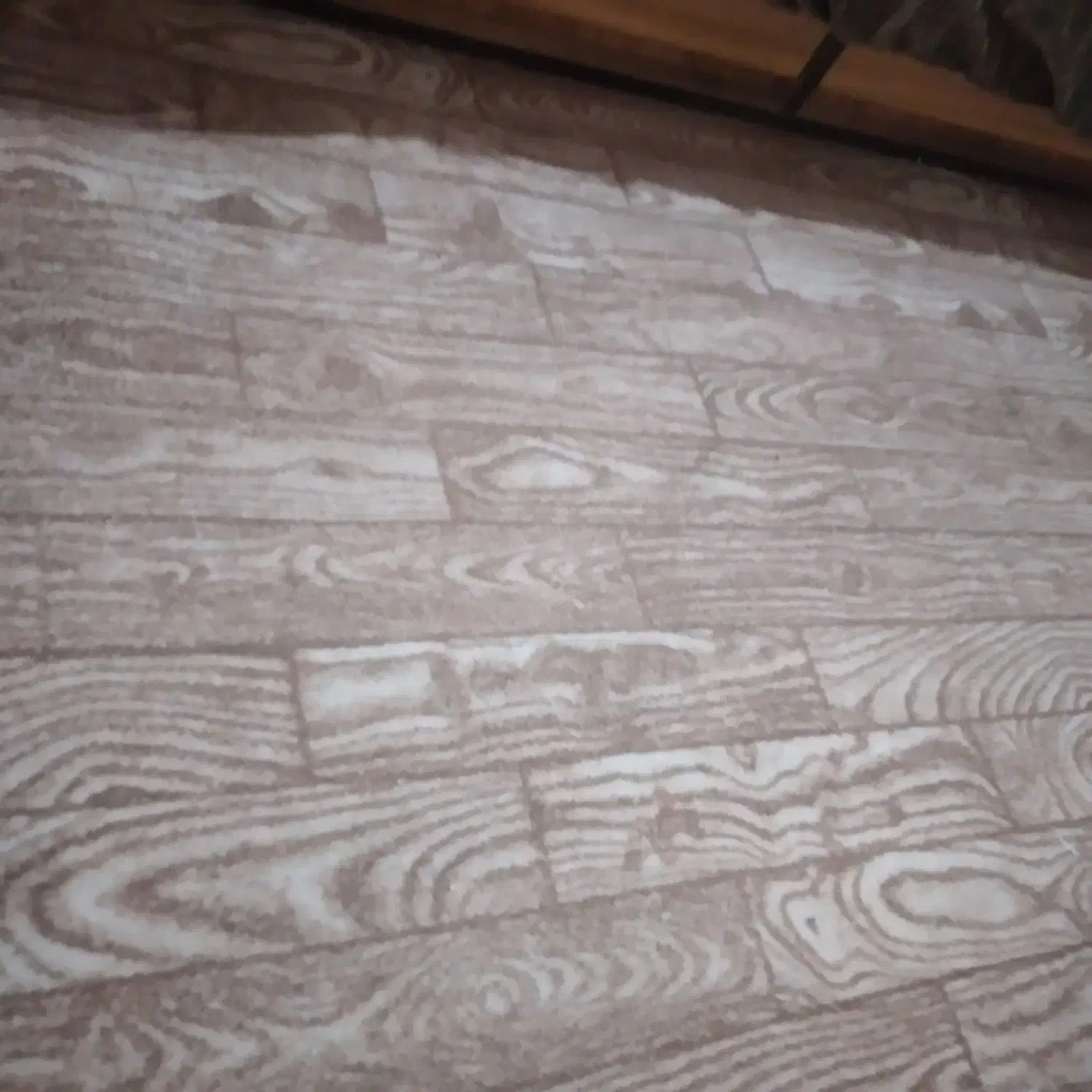 موکت کرم قهوه ای چند تیکه َ شیش متری ۱۵ متری دوتا|موکت|تاکستان, |دیوار