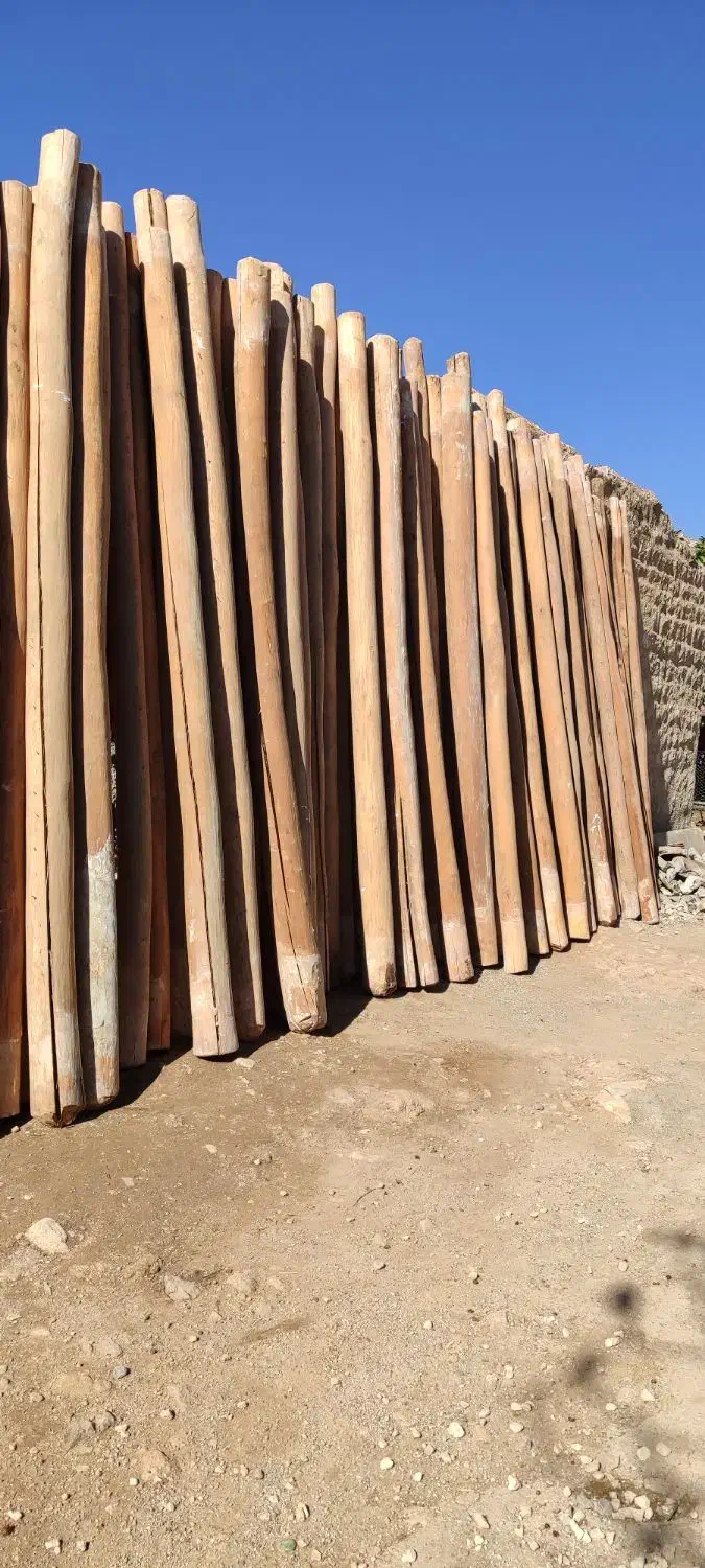 چوب سالم درجه یک|عمده‌فروشی|کارزان, |دیوار
