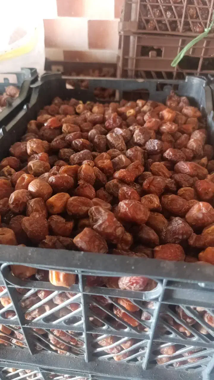 فروش خرما|خوردنی و آشامیدنی|منوجان, |دیوار