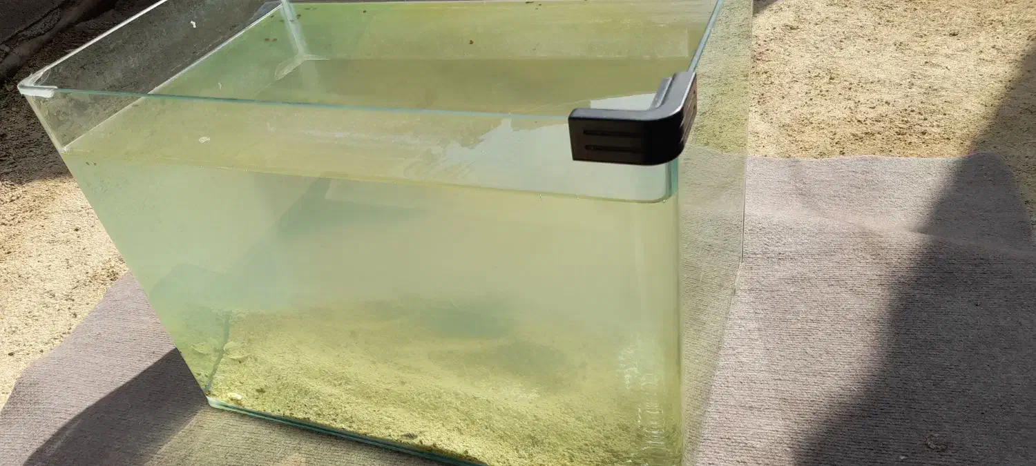 آکواریوم شرکتی|ماهی|بندر امام خمینی, |دیوار