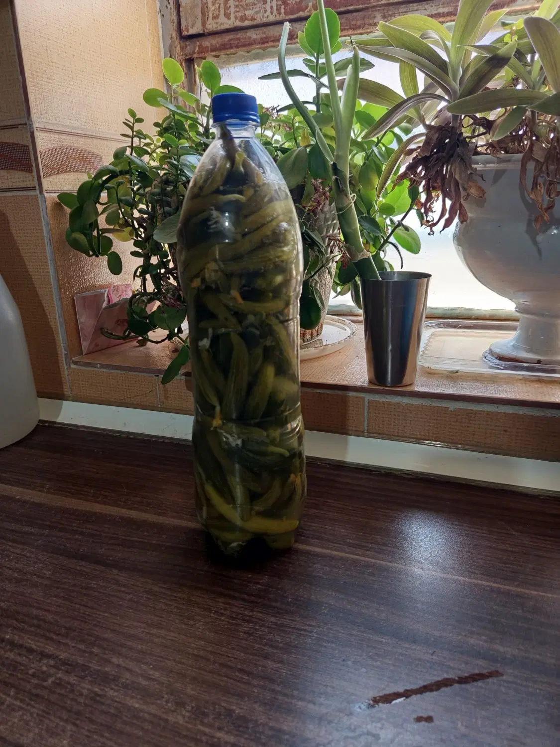 خیارشور|خوردنی و آشامیدنی|جیرفت, |دیوار