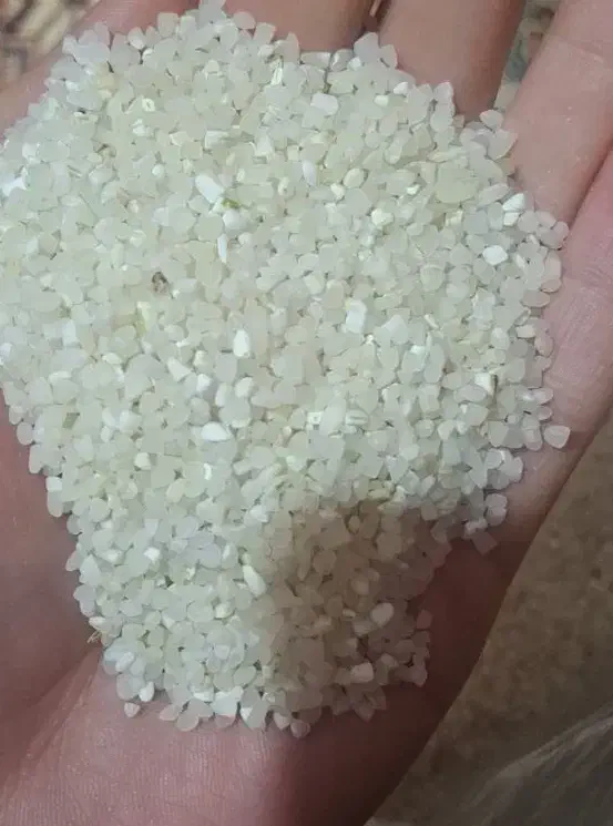 خرده برنج کامفیروزی به شرط|خوردنی و آشامیدنی|صدرا-فارس, فاز ۲|دیوار