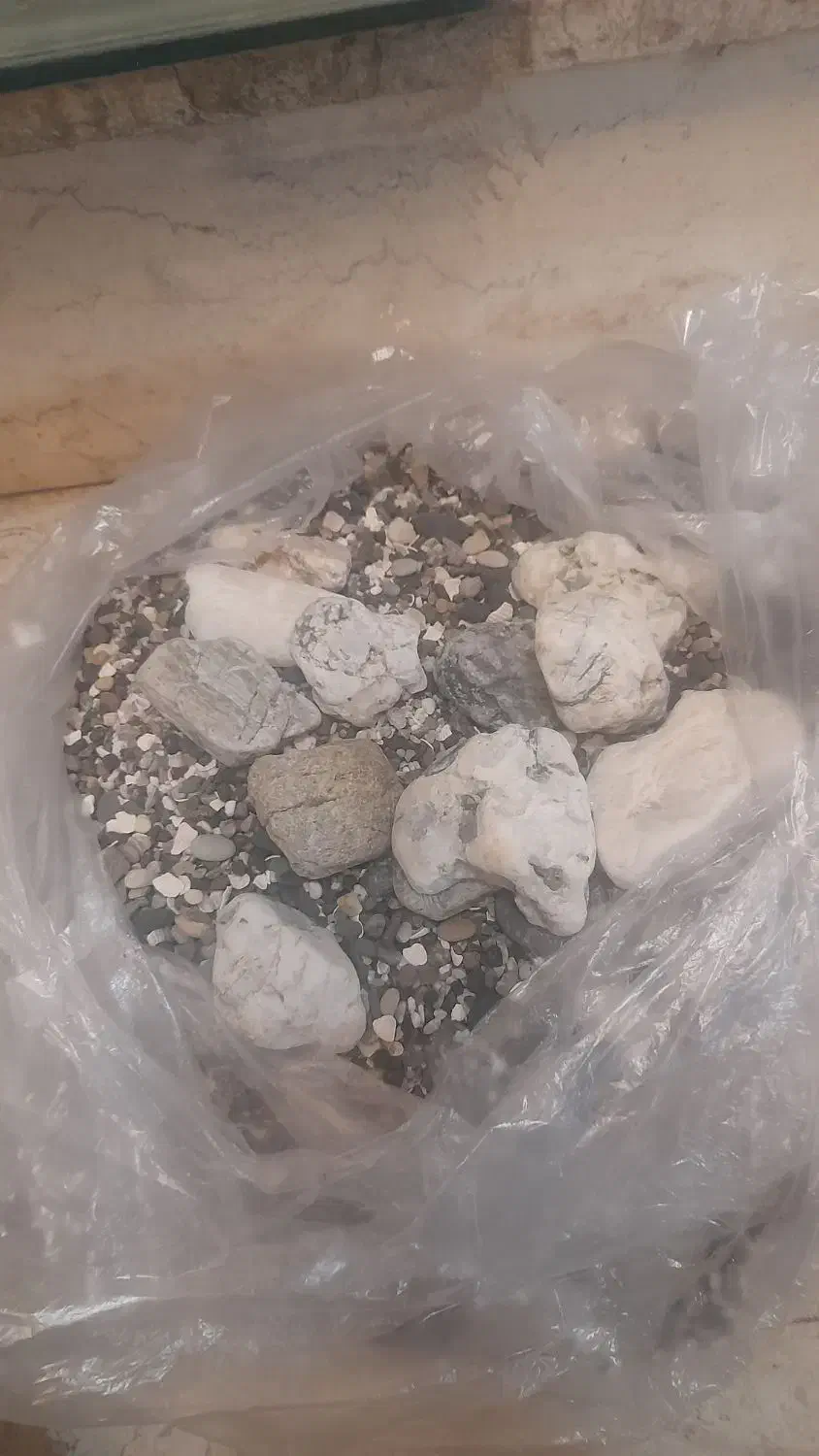 آکواریوم|ماهی|تهران, خزانه|دیوار