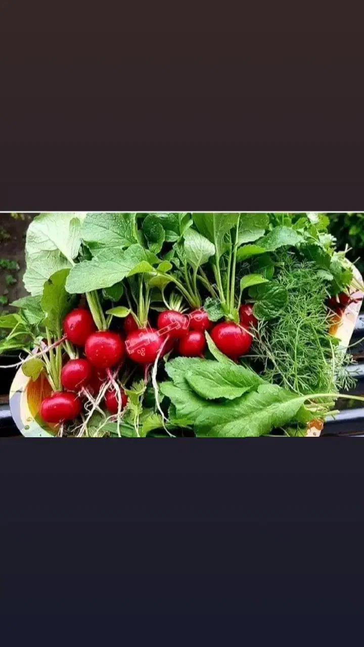 سبزی فروشی معین در رشت|خوردنی و آشامیدنی|رشت, دیانتی|دیوار