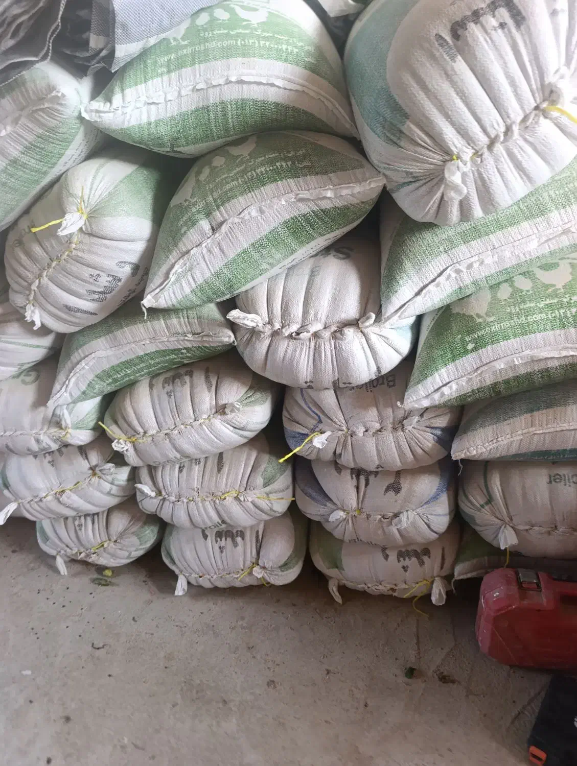 گندم پیشگام ابی|خوردنی و آشامیدنی|صالح آباد, |دیوار