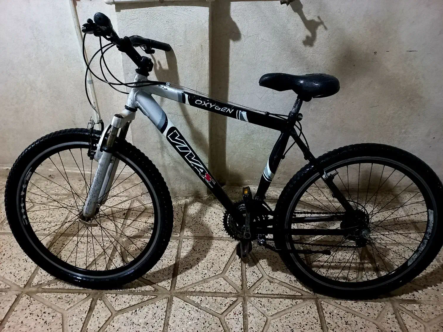 دوچرخه ۲۶ویوا بدنه آلمینیوم|دوچرخه، اسکیت، اسکوتر|مشهد, خواجه ربیع|دیوار