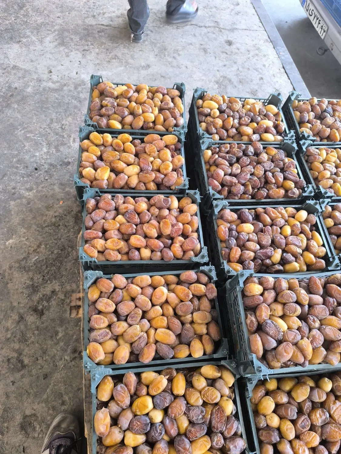 رطب|خوردنی و آشامیدنی|اصفهان, بهارستان|دیوار