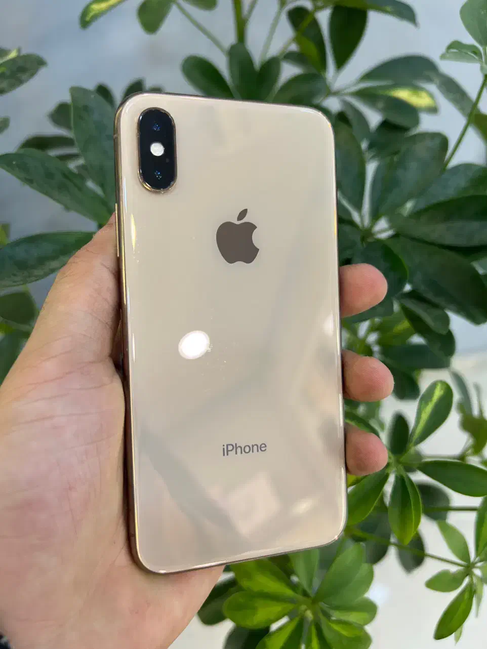 ایفون Apple xs با حافظه ۲۵۶ گیگ|موبایل|مشهد, عامل|دیوار