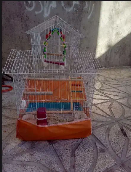 قفس و وسایل پرنده|لوازم جانبی حیوانات|بانه, |دیوار