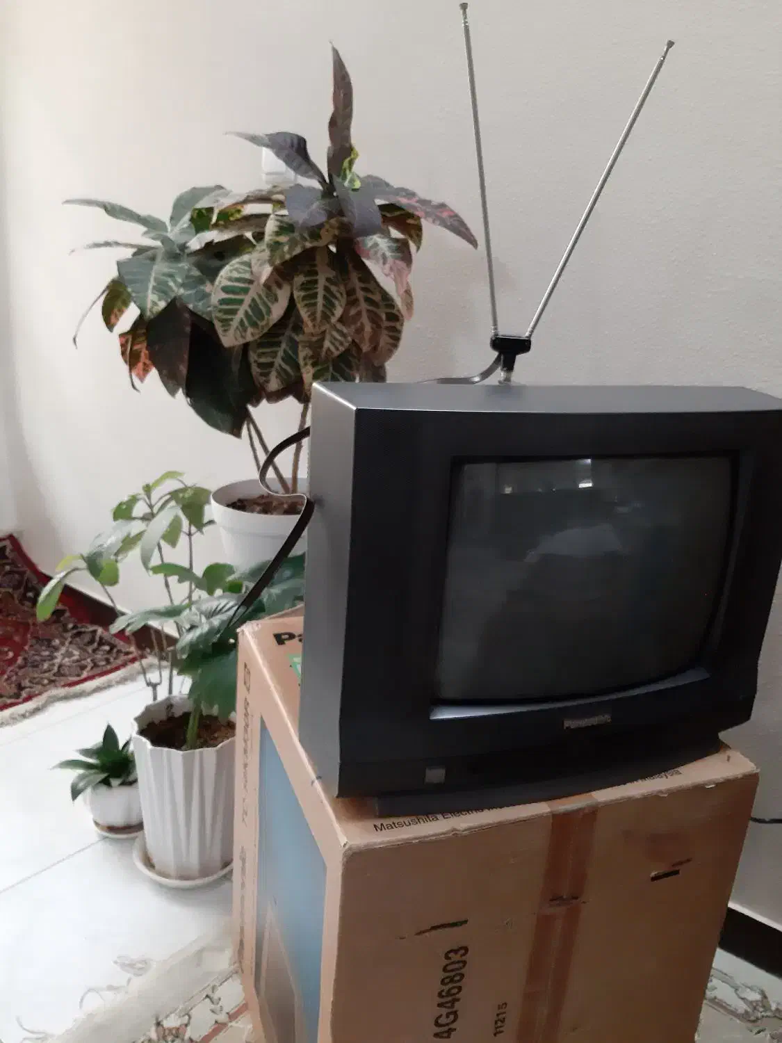 تلویزیون پاناسونیک ۱۴ اینچ|تلویزیون و پروژکتور|شاهین‌شهر, حافظ جنوبی|دیوار