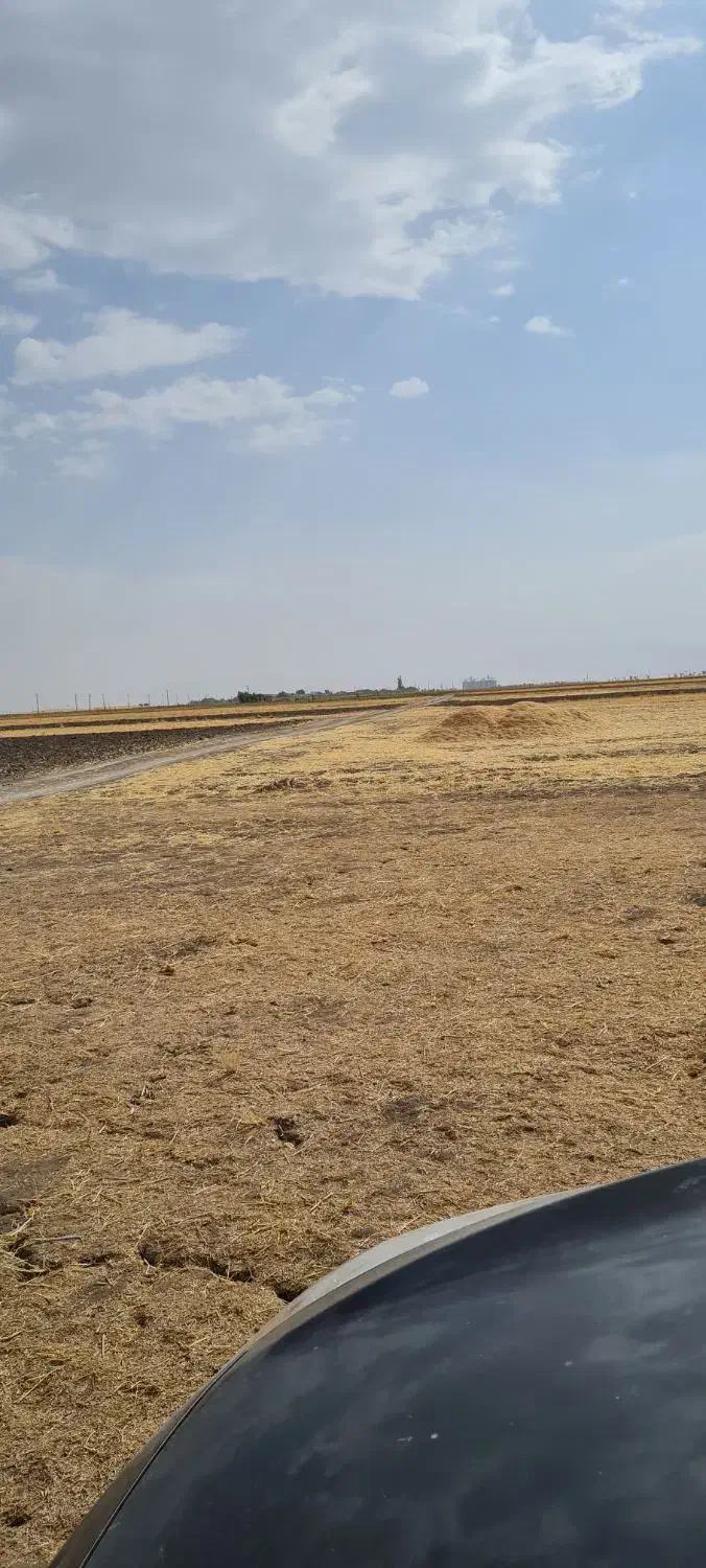 زمین کشاورزی|فروش دفتر صنعتی، کشاورزی، تجاری|کوزران, |دیوار