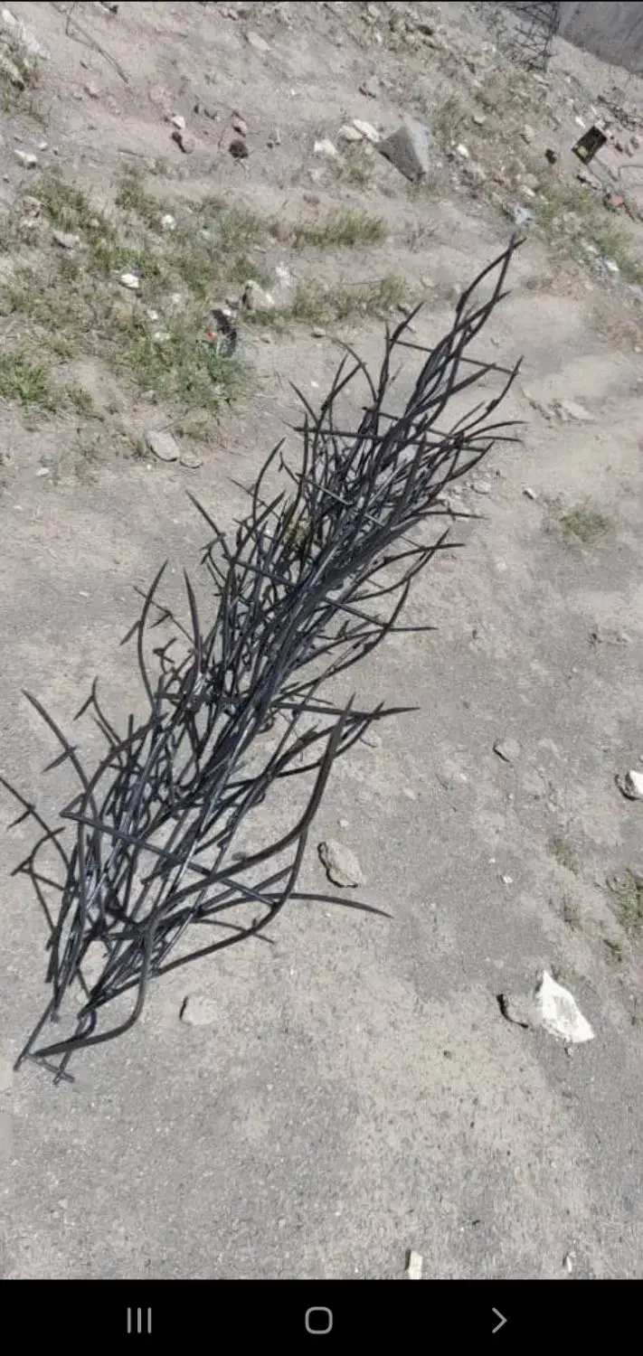 حفاظ روی دیوار|خدمات پیشه و مهارت|مشهد, الهیه|دیوار