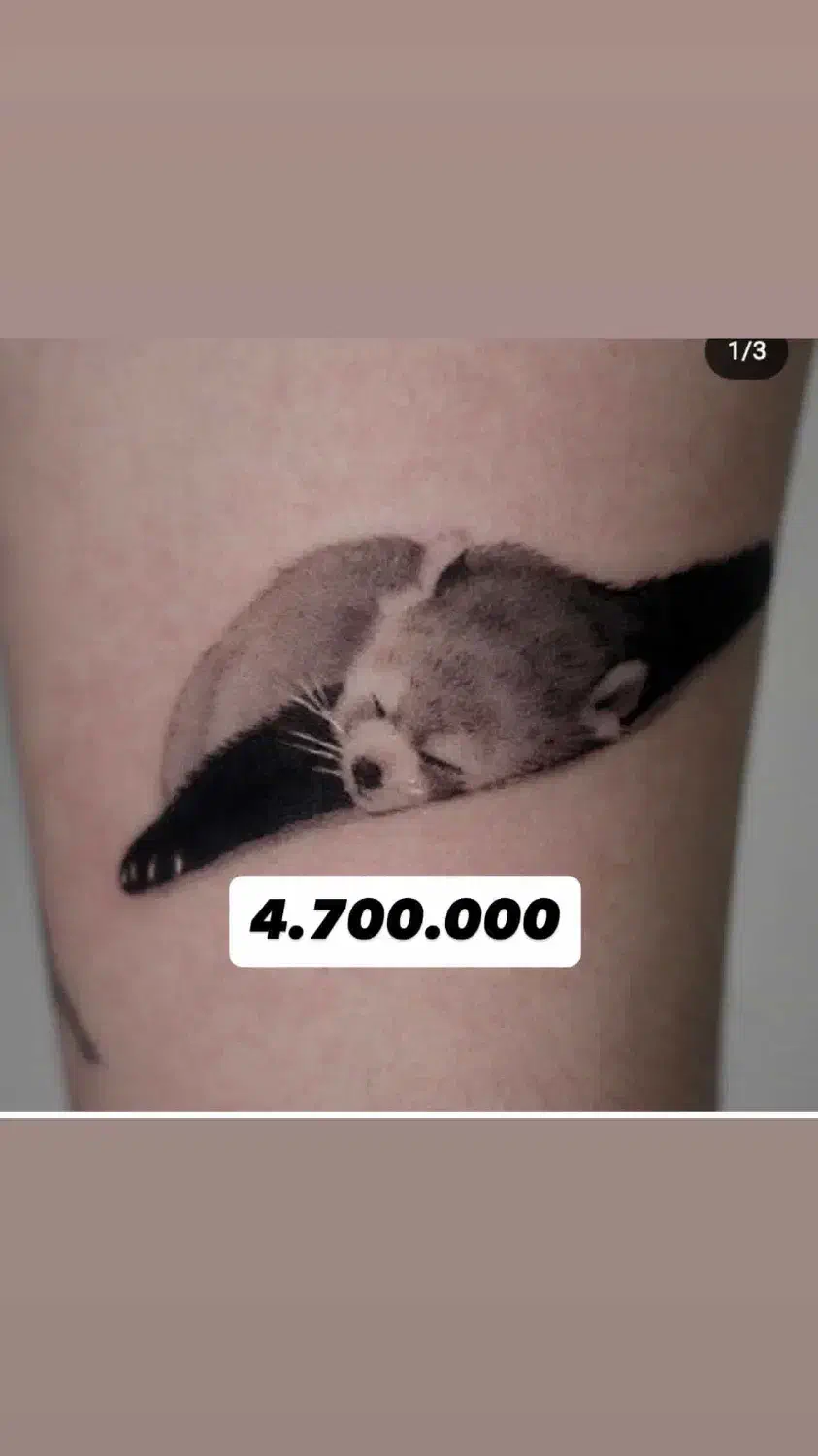 تتوبدن|خدمات آرایشگری و زیبایی|رباط‌کریم, رباط‌کریم|دیوار