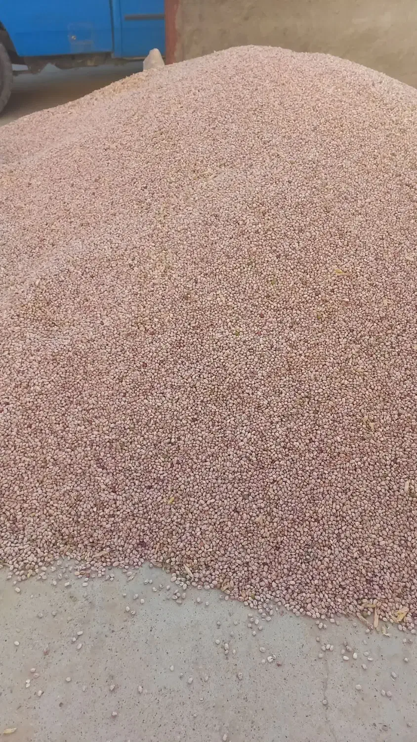 لوبیا چیتی|عمده‌فروشی|مرودشت, ژیان|دیوار