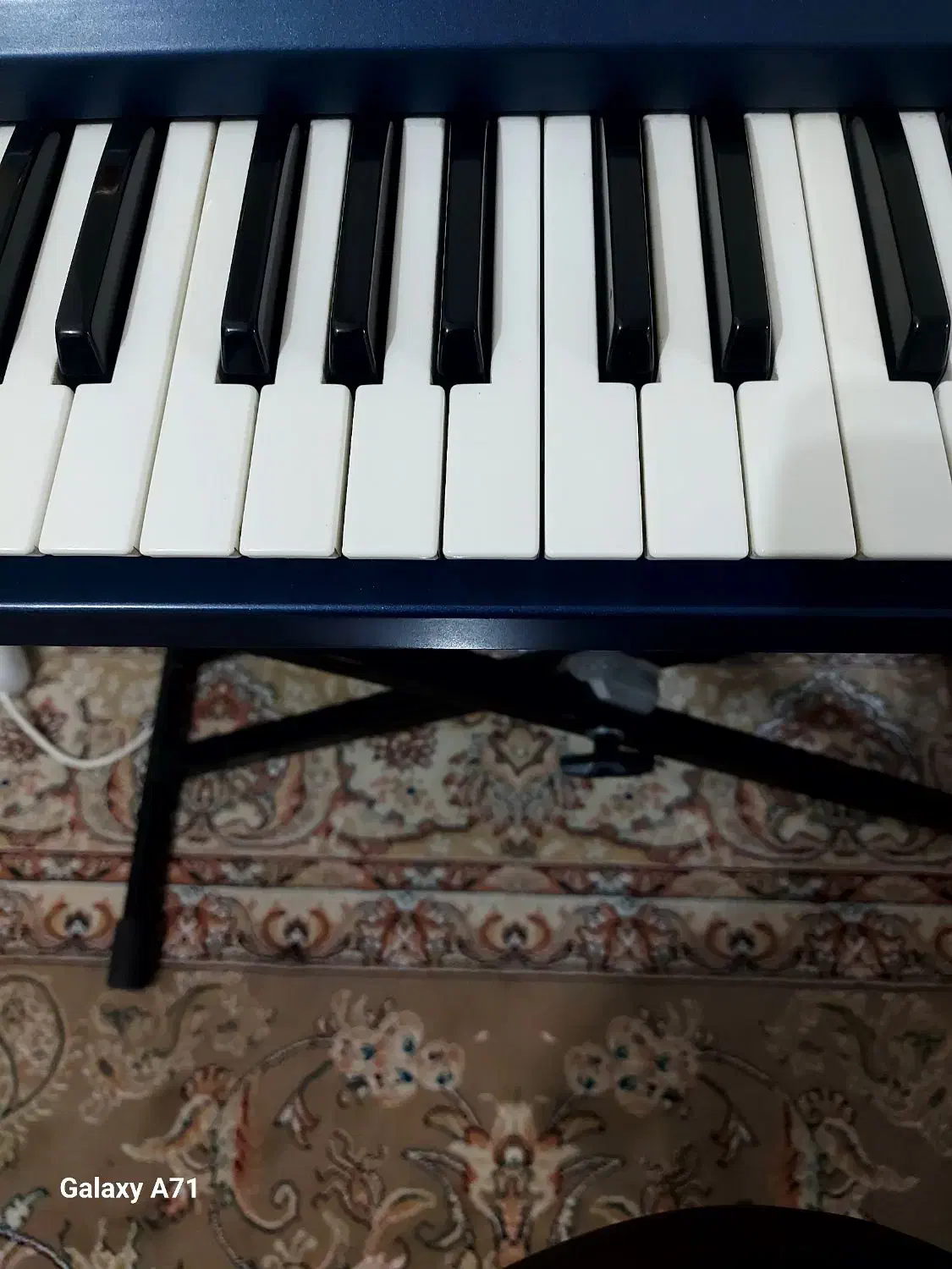 kore p800|پیانو، کیبورد، آکاردئون|مبارکه, |دیوار