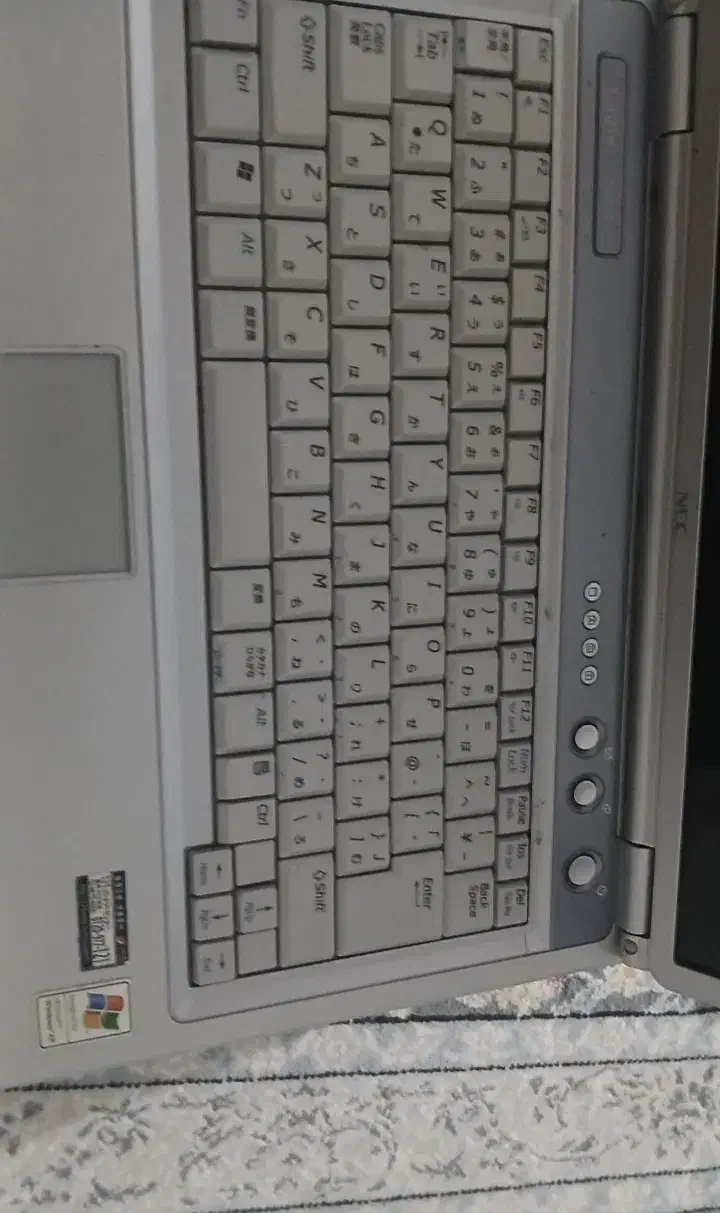 لپ تاپ|رایانه همراه|قره ضیاالدین, |دیوار