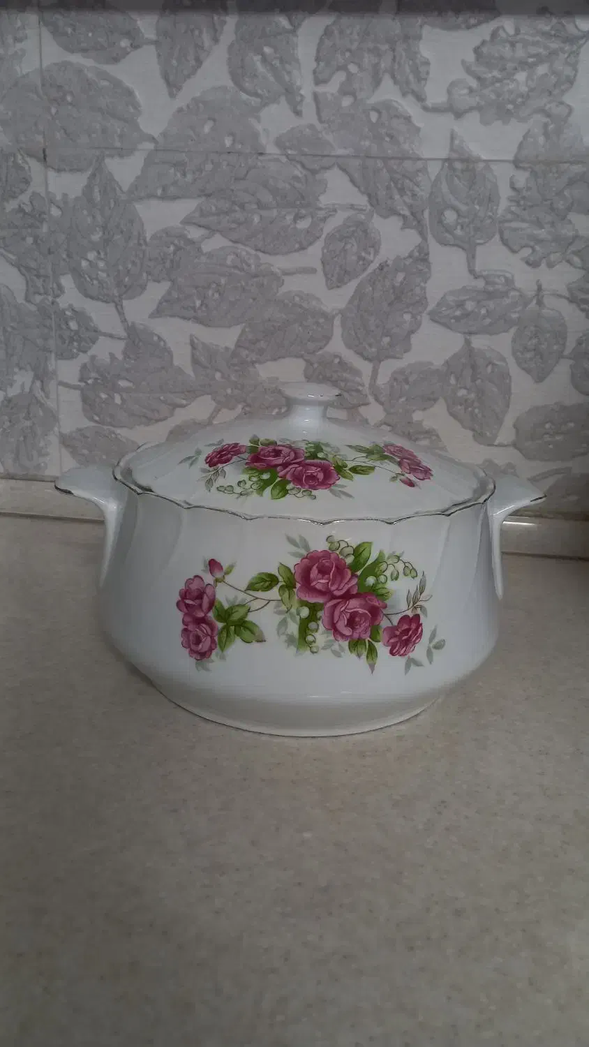 سوپ‌خوری چینی گلدان ایتالیایی یخدان|ظروف پخت‌وپز|قم, باجک دو|دیوار