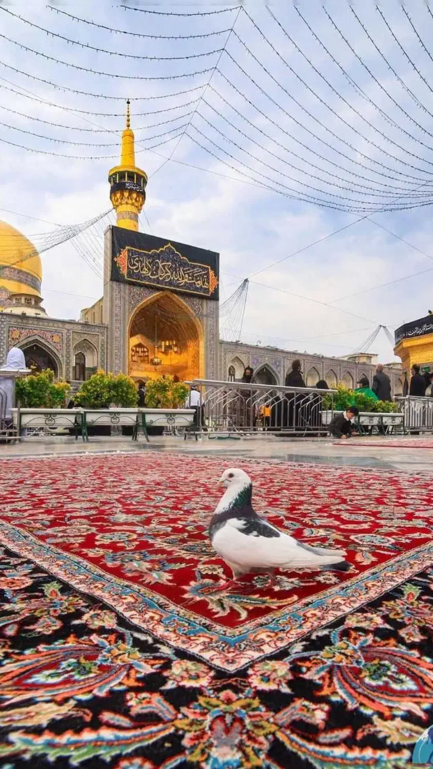 رزرو آنلاین تور داخلی و خارجی و هتل|تور و چارتر|گرگان, |دیوار