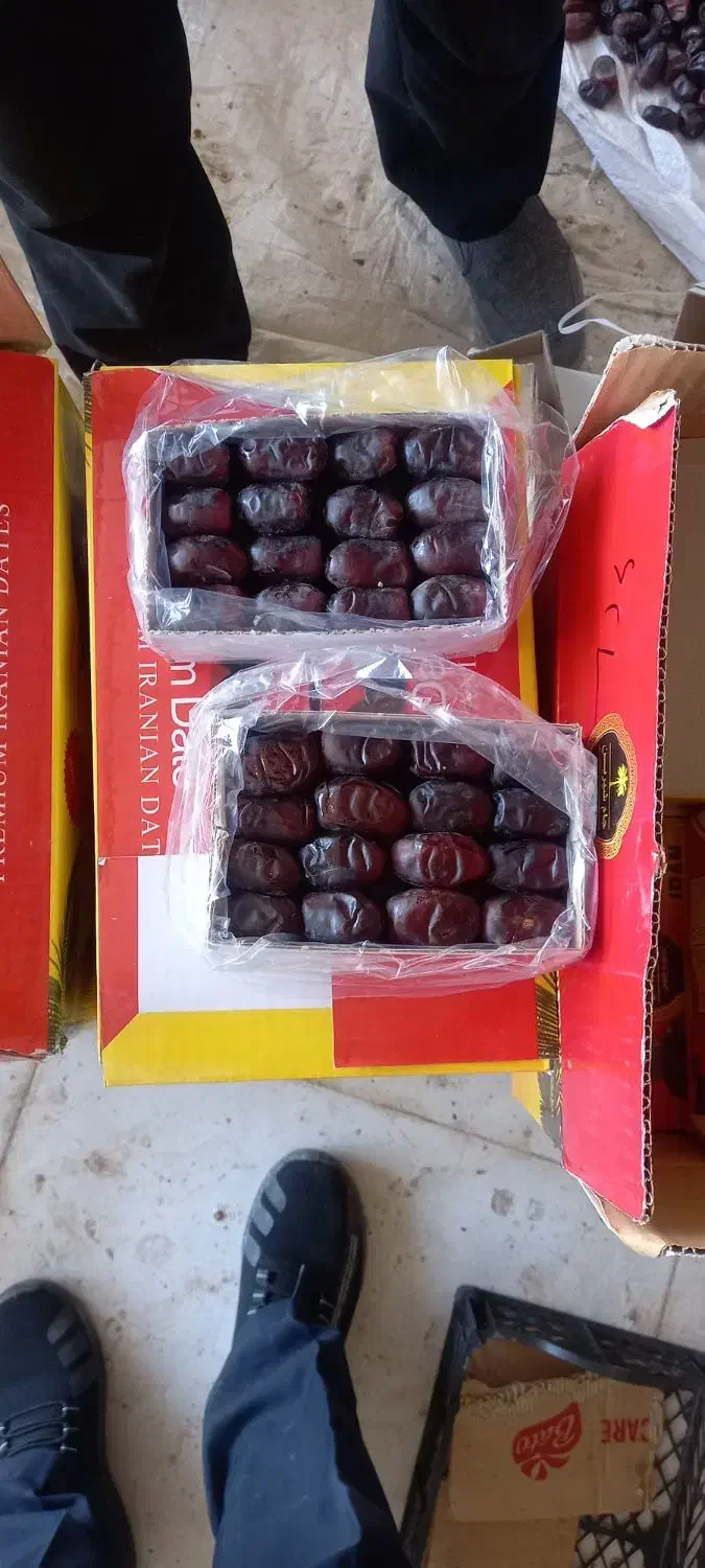 رطب خرما صادراتی لوکس|خوردنی و آشامیدنی|مشهد, شهرک مهر آباد|دیوار