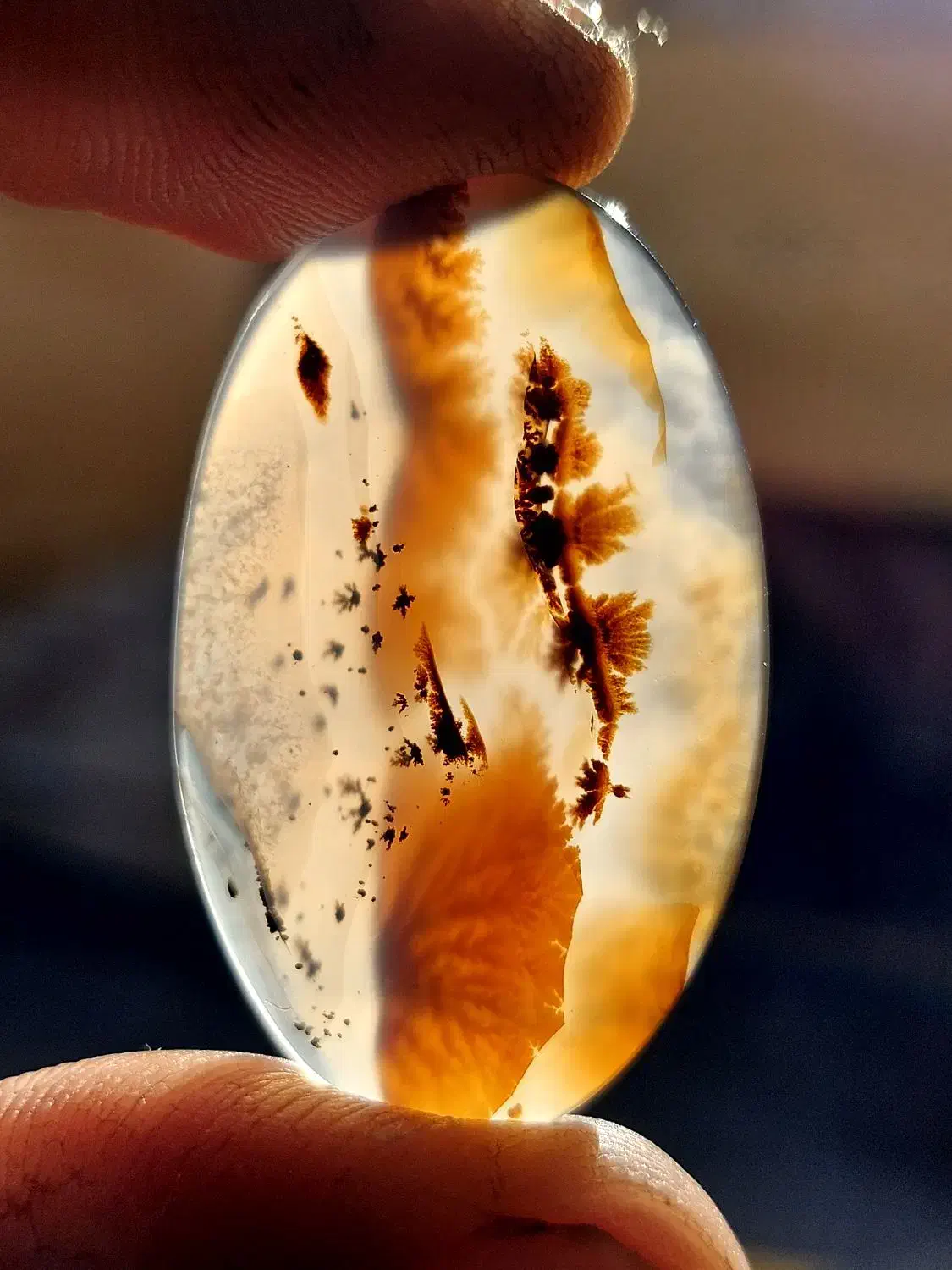 نگین  شجر  عقیق   انگشتر|جواهرات|شیراز, ریاستی|دیوار