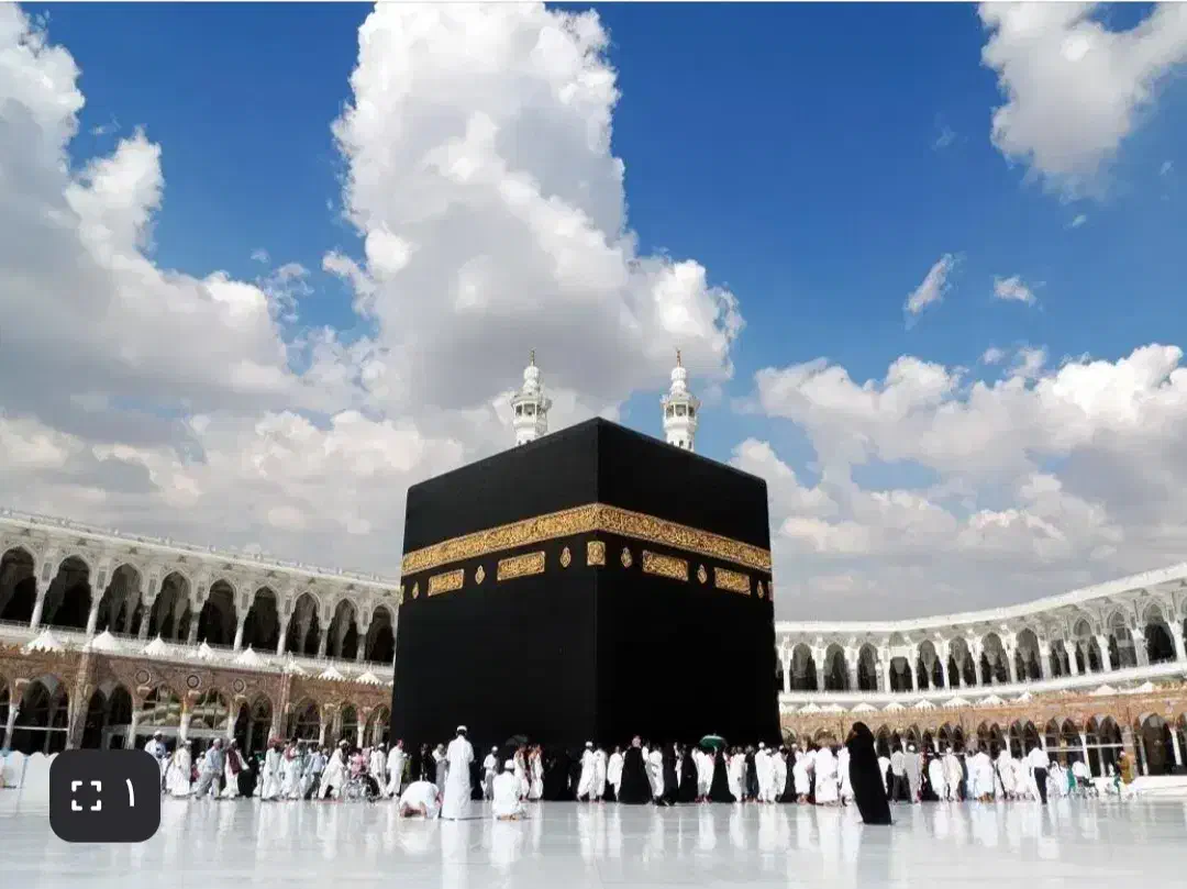 فیش عمره سه عدد|تور و چارتر|گرگان, |دیوار