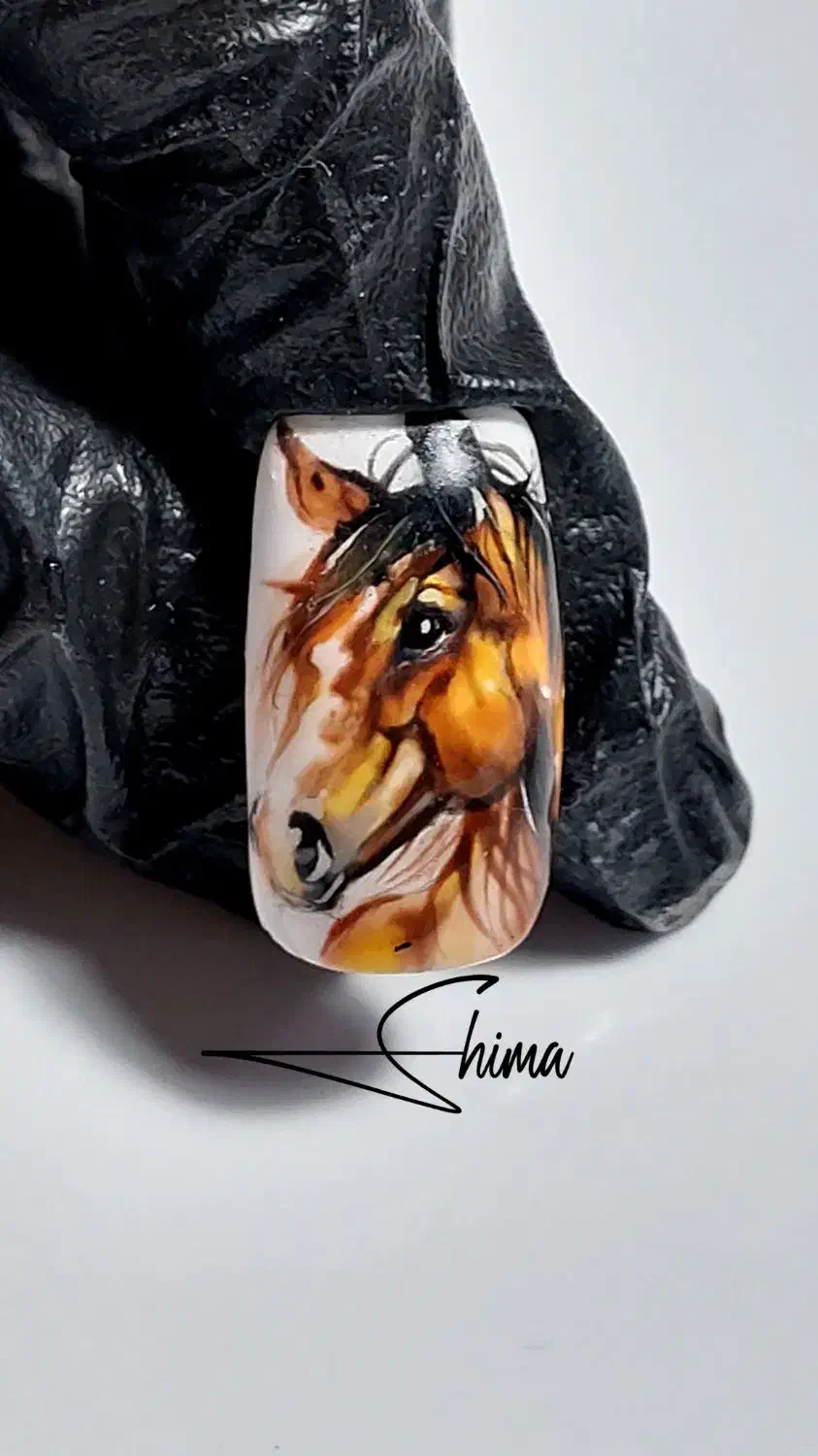 آموزش|خدمات آموزشی|قزوین, |دیوار