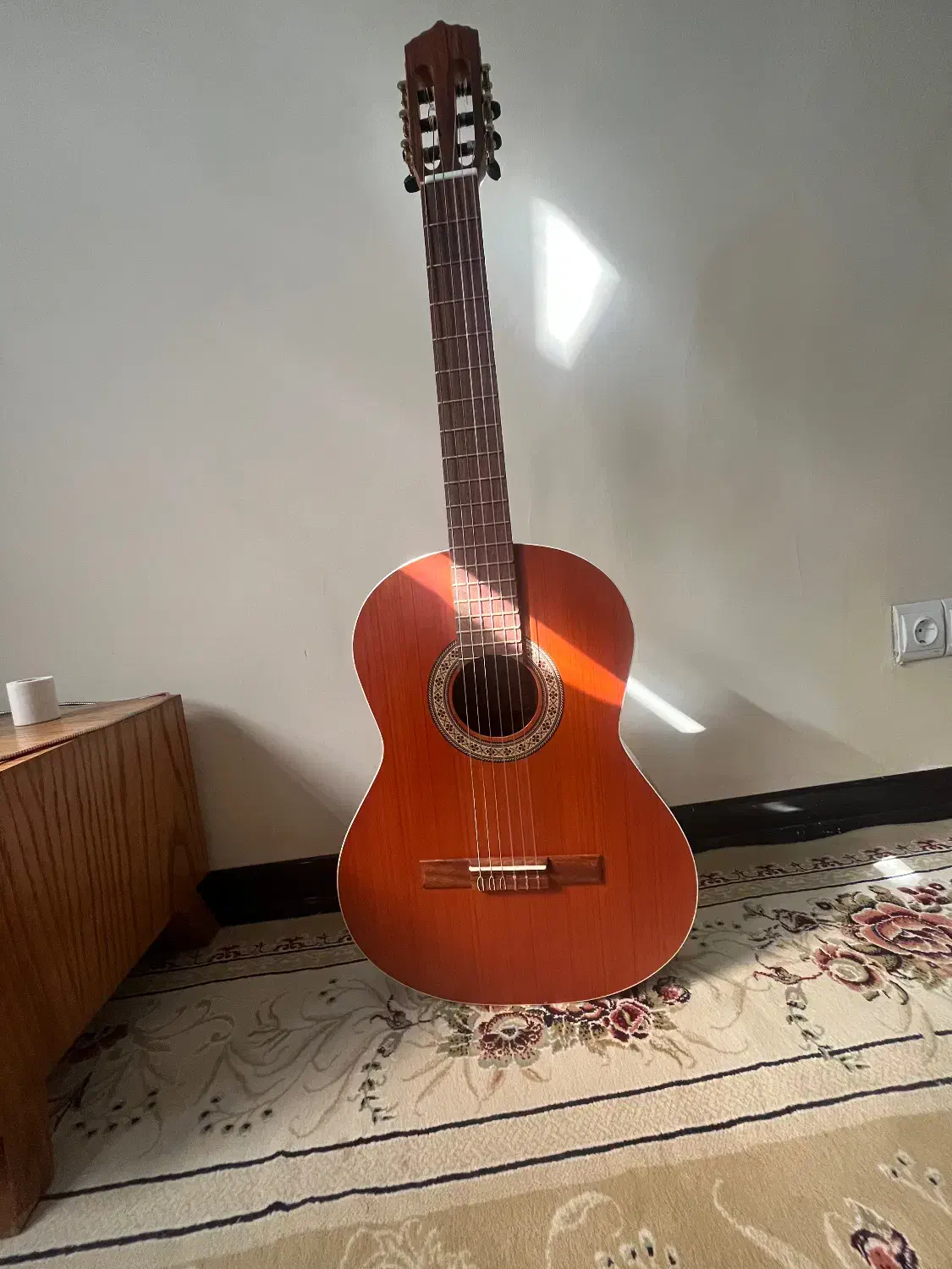 گیتار m6|گیتار، بیس، امپلیفایر|بندرعباس, |دیوار