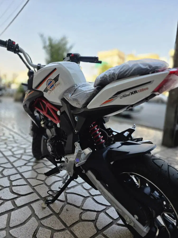 همراه Mini XR125 مدل ۱۴۰۵ صفر کیلومتر (جشنواره)|موتورسیکلت|تهران, تهرانپارس غربی|دیوار