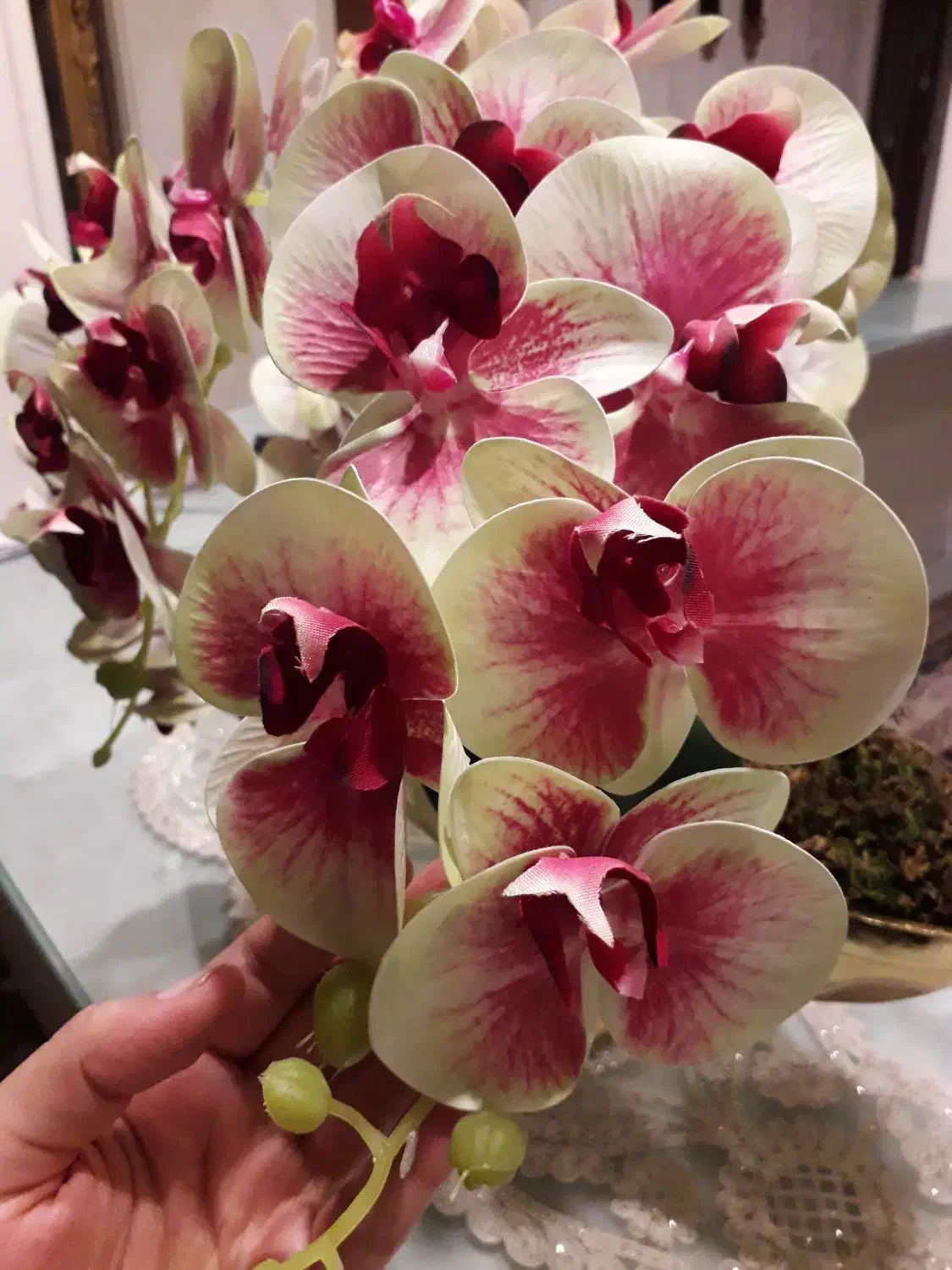 گلها همه نو جدید|گل مصنوعی|مشهد, گوهرشاد|دیوار